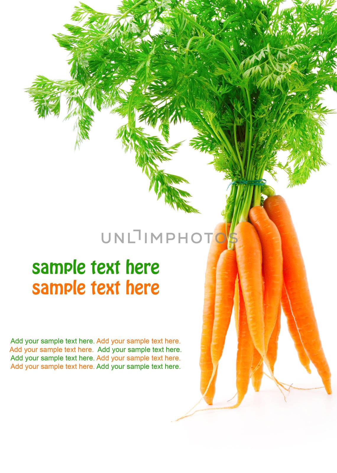 fresh carrot fruits with green leaves, isolated on white background 