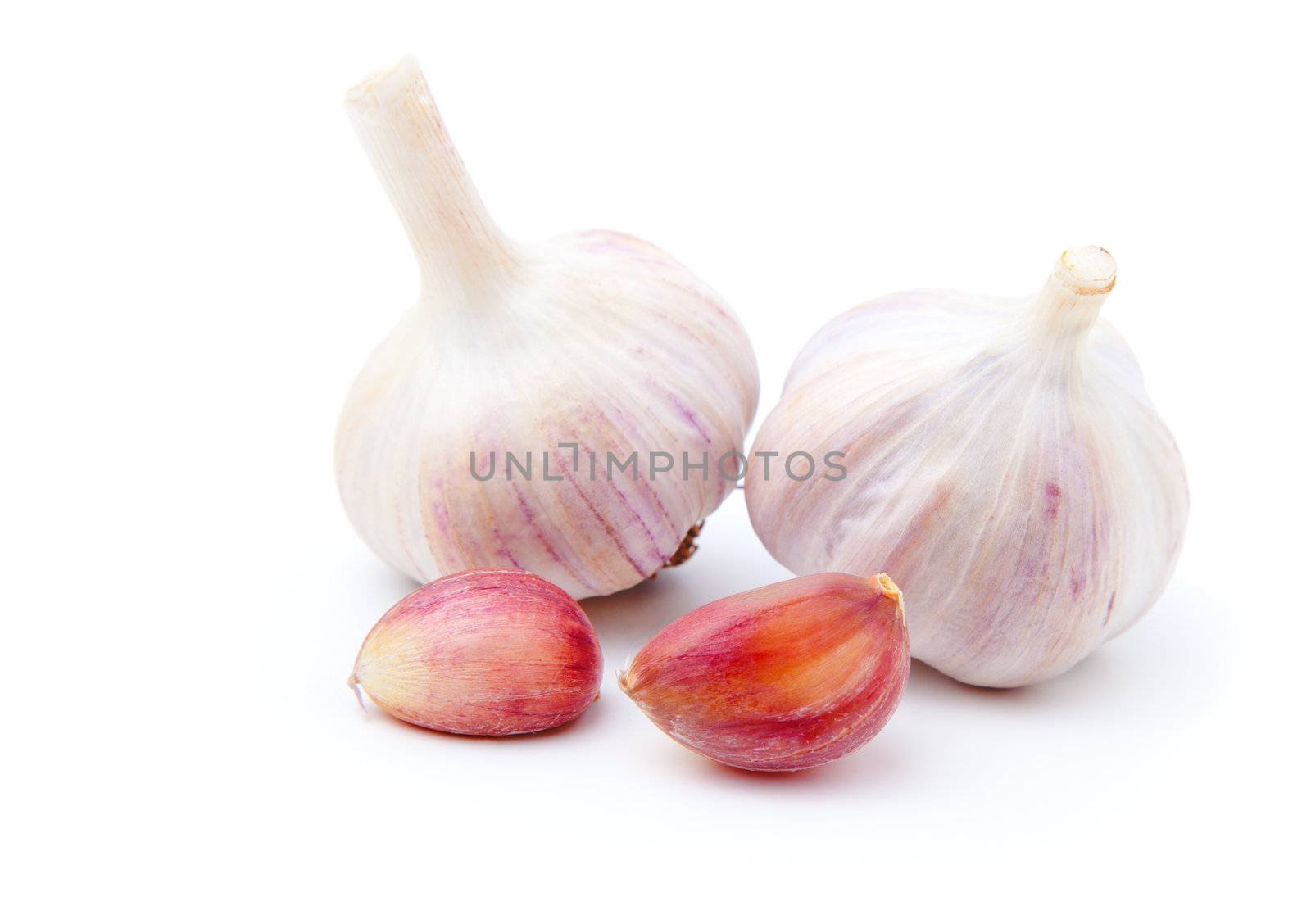 garlics isolated on white background  by motorolka