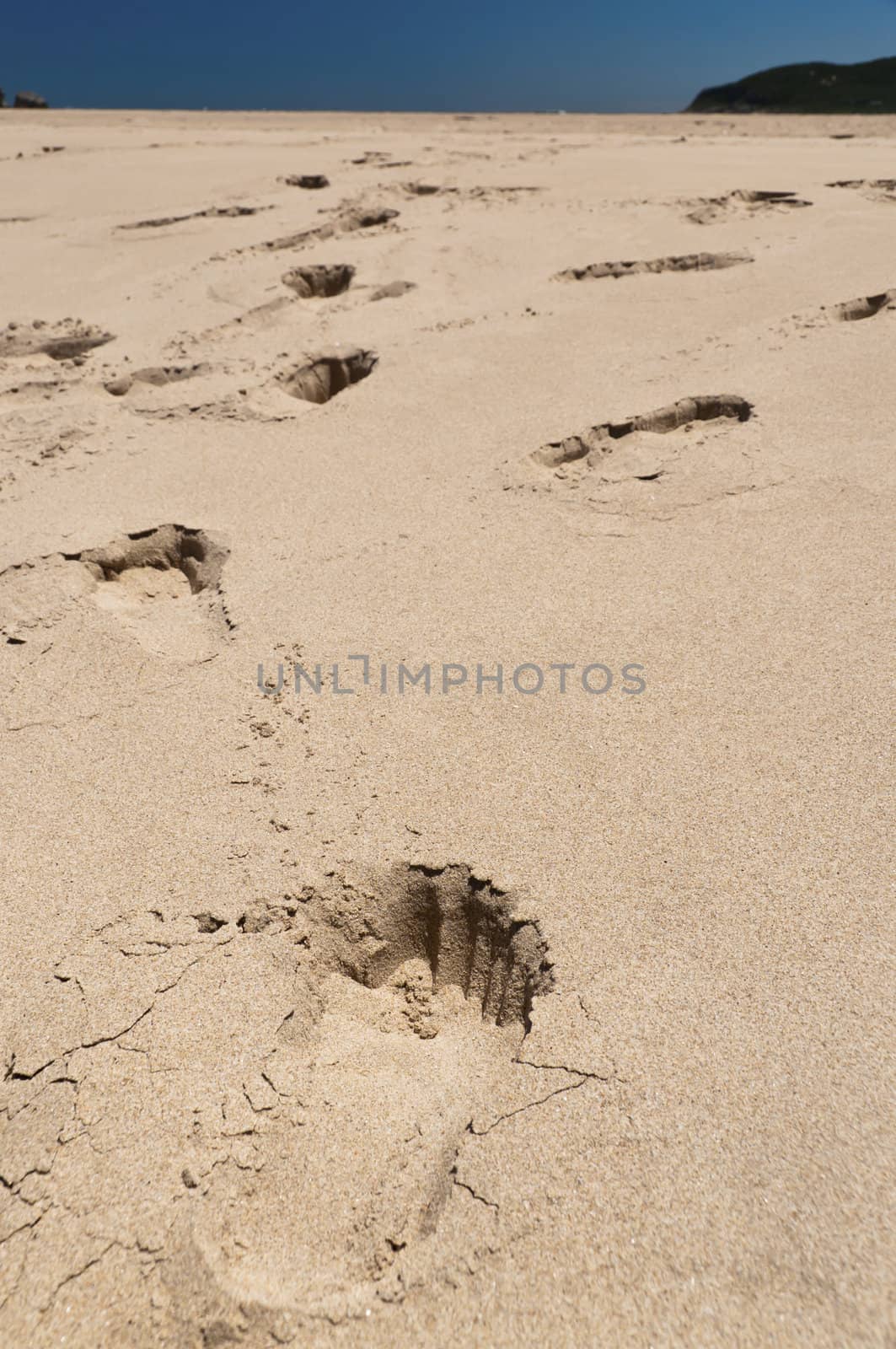 Footprints left over the sandy dunes on a beach, South Africa