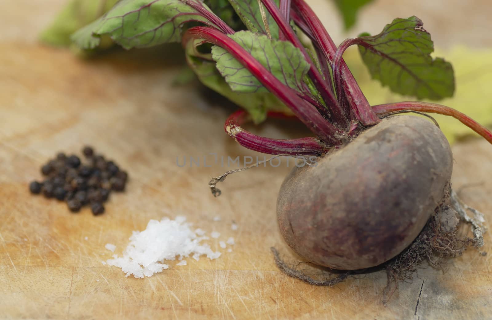 One freshly harvested beetroot being prepared for cooking on a wooden chopping board. Shallow DOF, salt and pepper in background.