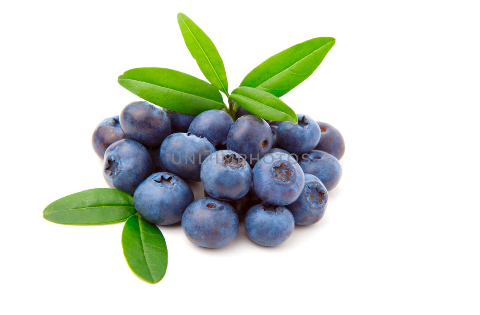Blueberries with green leaves isolated on white background 