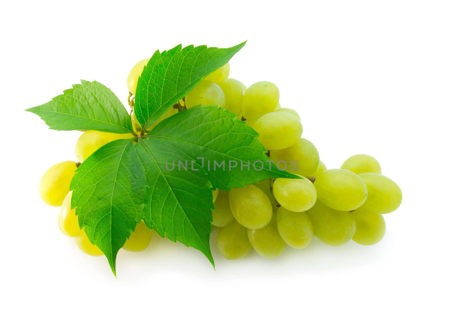 bunch of fresh grapes with leaf isolated on white  by motorolka