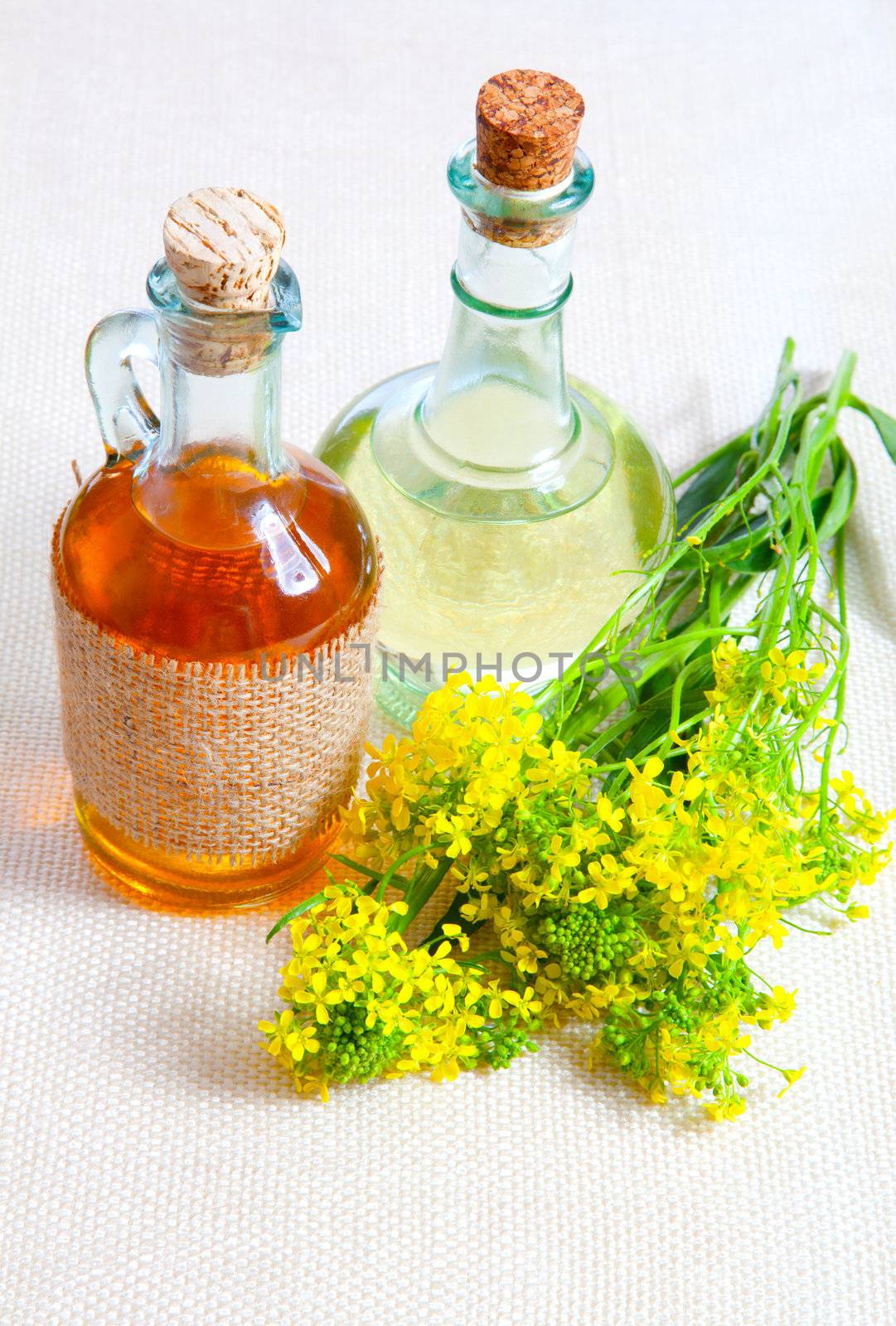 bottle of oil with rapeseed flower, on a canvas background by motorolka