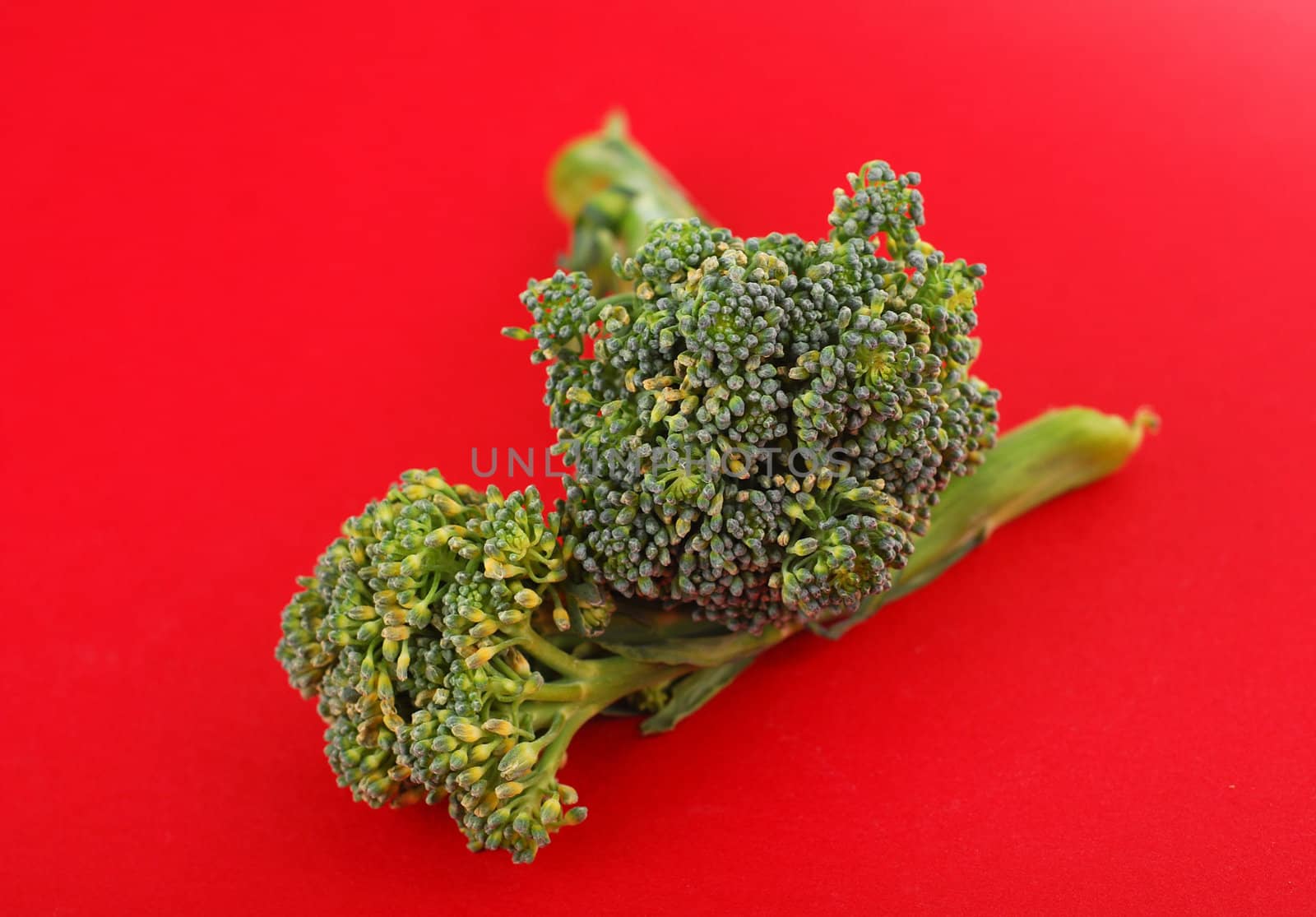 Broccoli