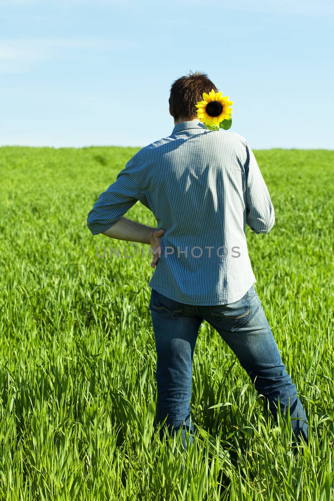 a young man and a sunflower field