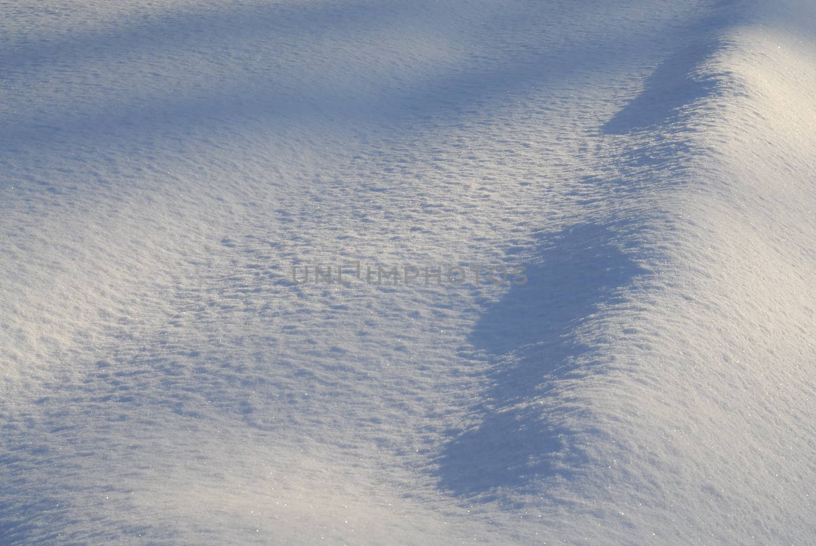 White clean untouched snowfall. Tight composition showing texture.