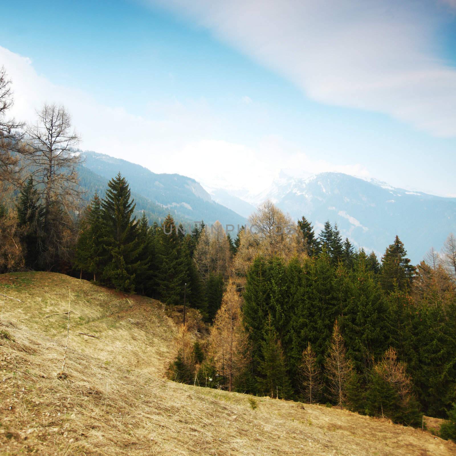 spring alps mountains scene background