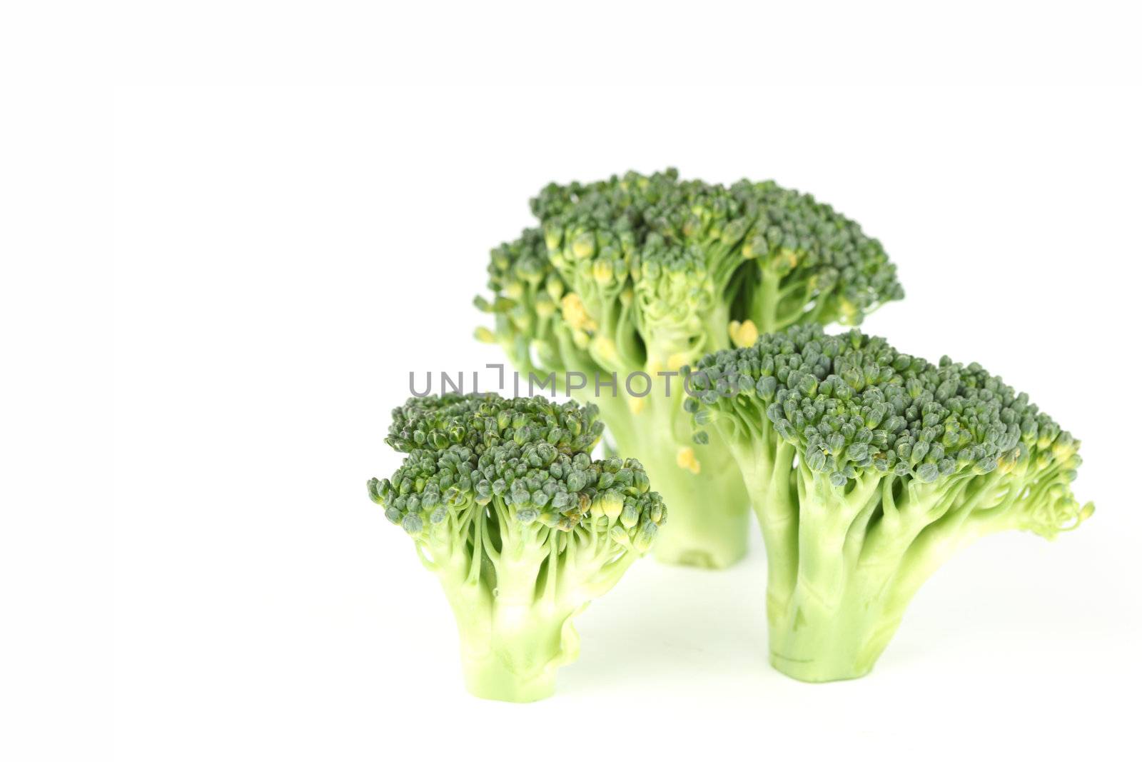 broccoli isolated on white background
