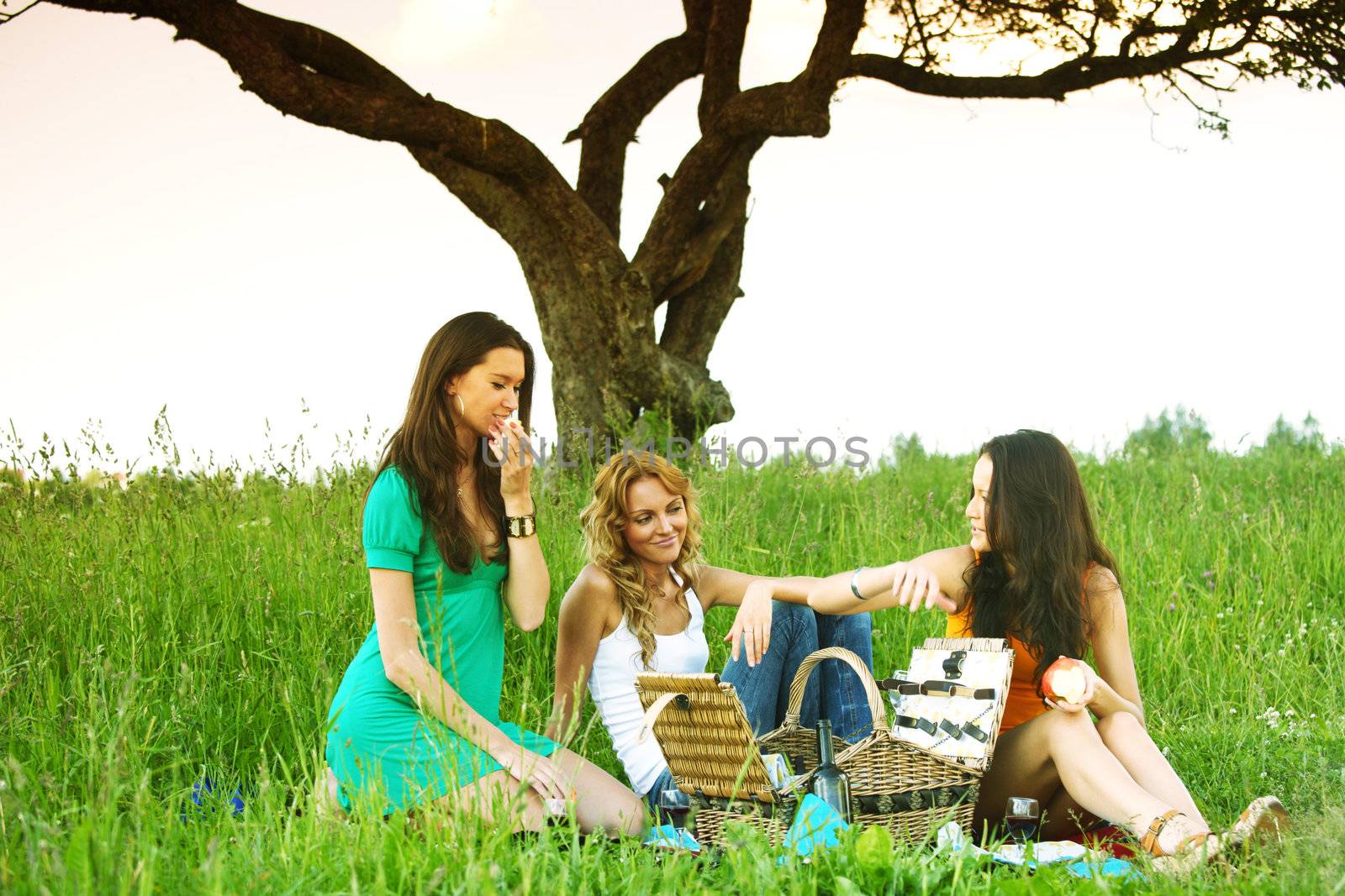 girlfriends on picnic by Yellowj