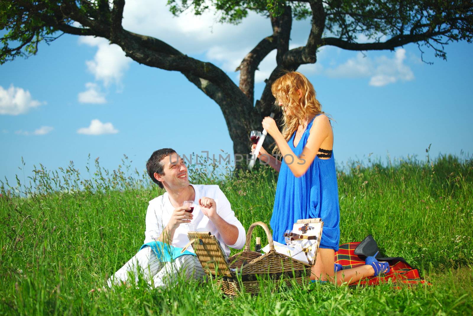 very fun lovers on picnic 