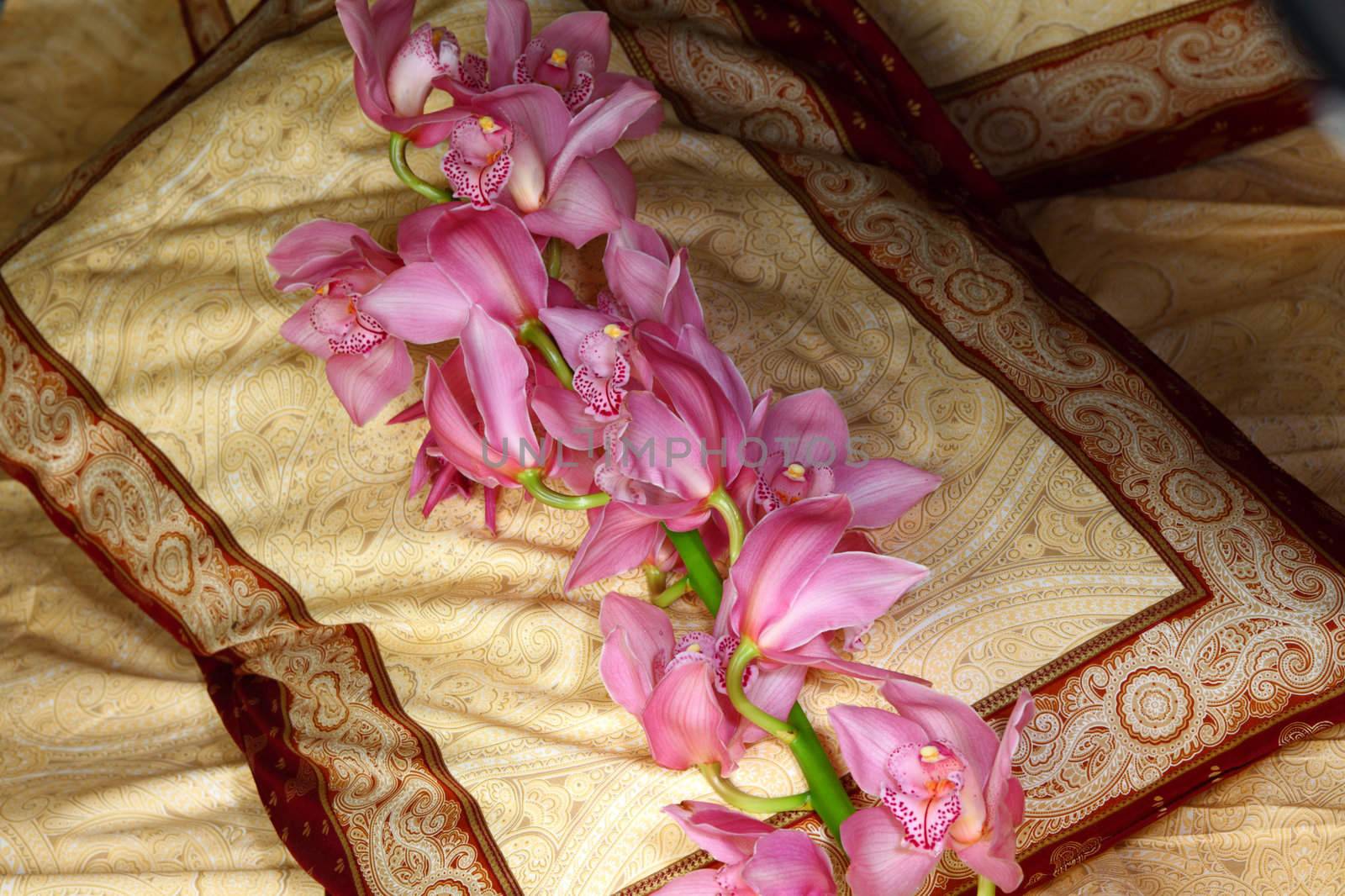 orchid on the pillow close up