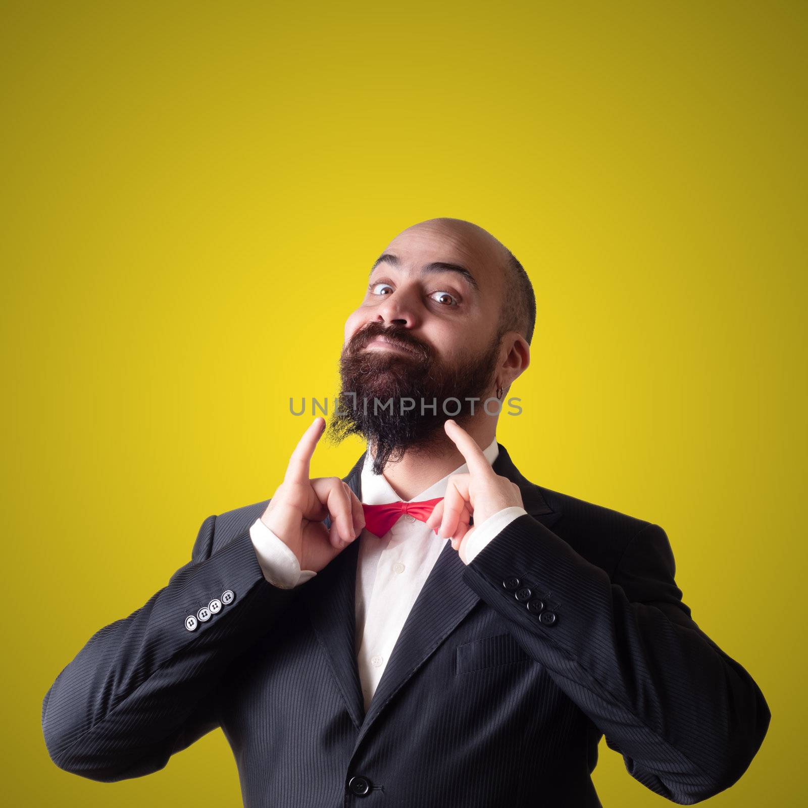 funny bearded elegant man with papillon on yellow background