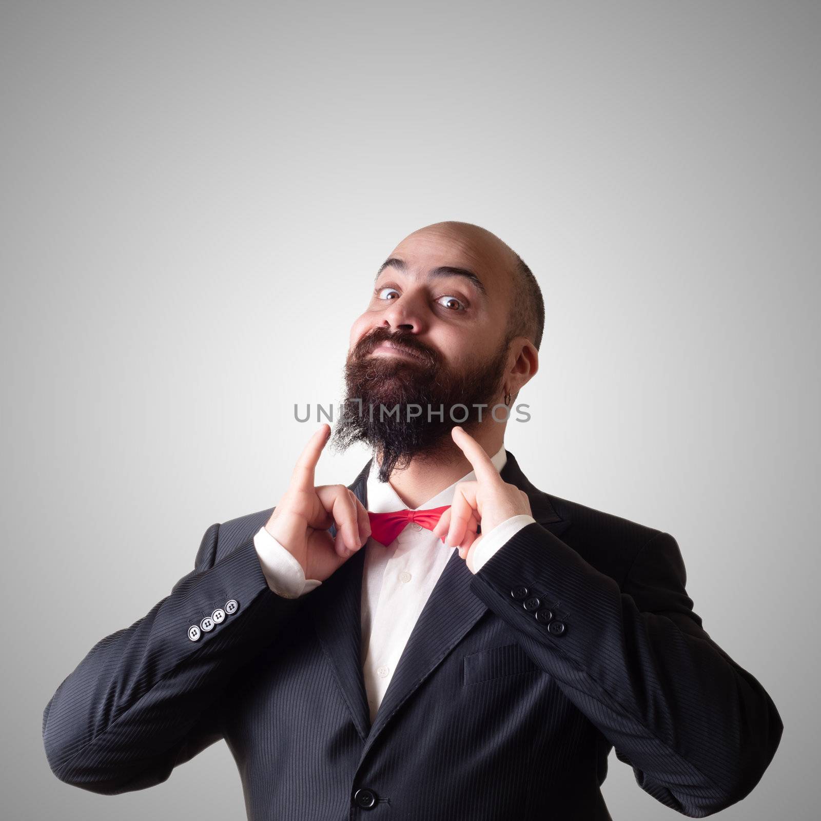 funny bearded elegant man with papillon on gray background
