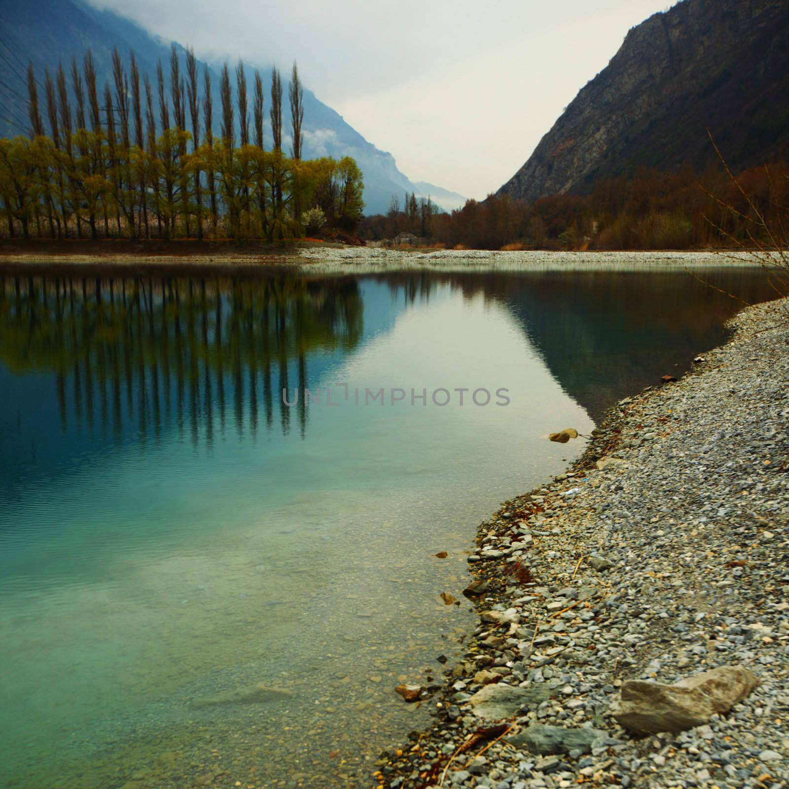 tree reflection in spring mountain lake