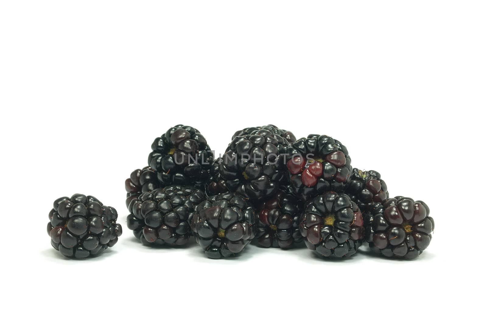 pile of ripe blackberries on white background