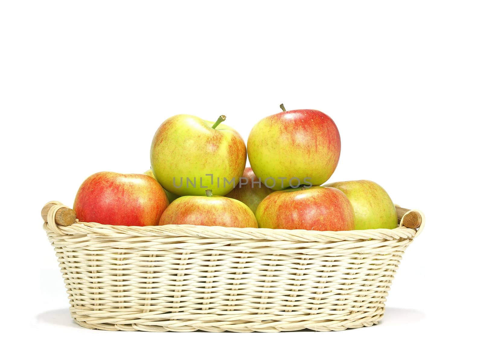 elstar variety apples by Ric510