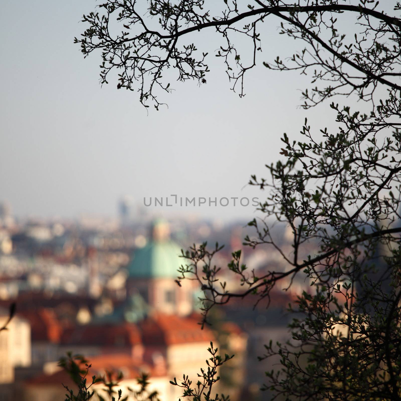 prague city panoramic view