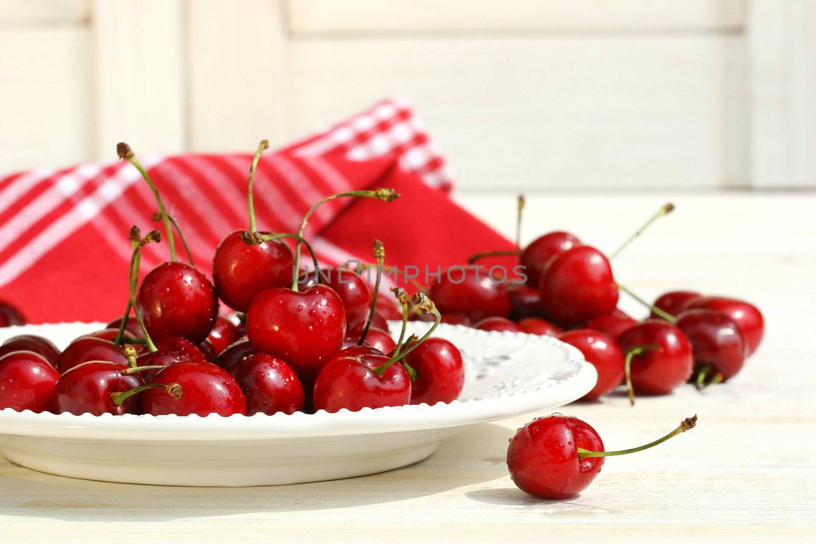 Red cherries on a plate by Sandralise
