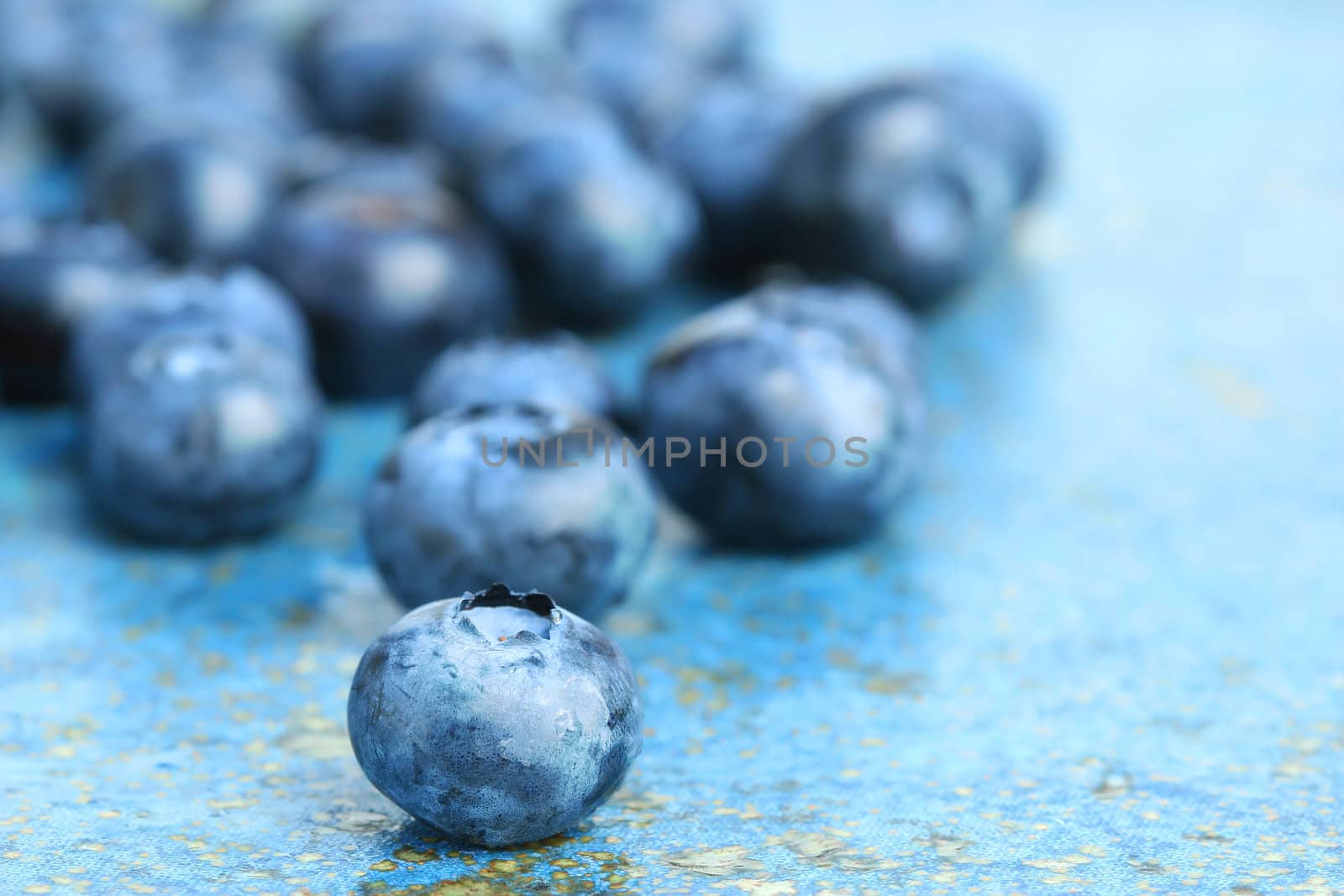 Blueberries on blue background by Sandralise