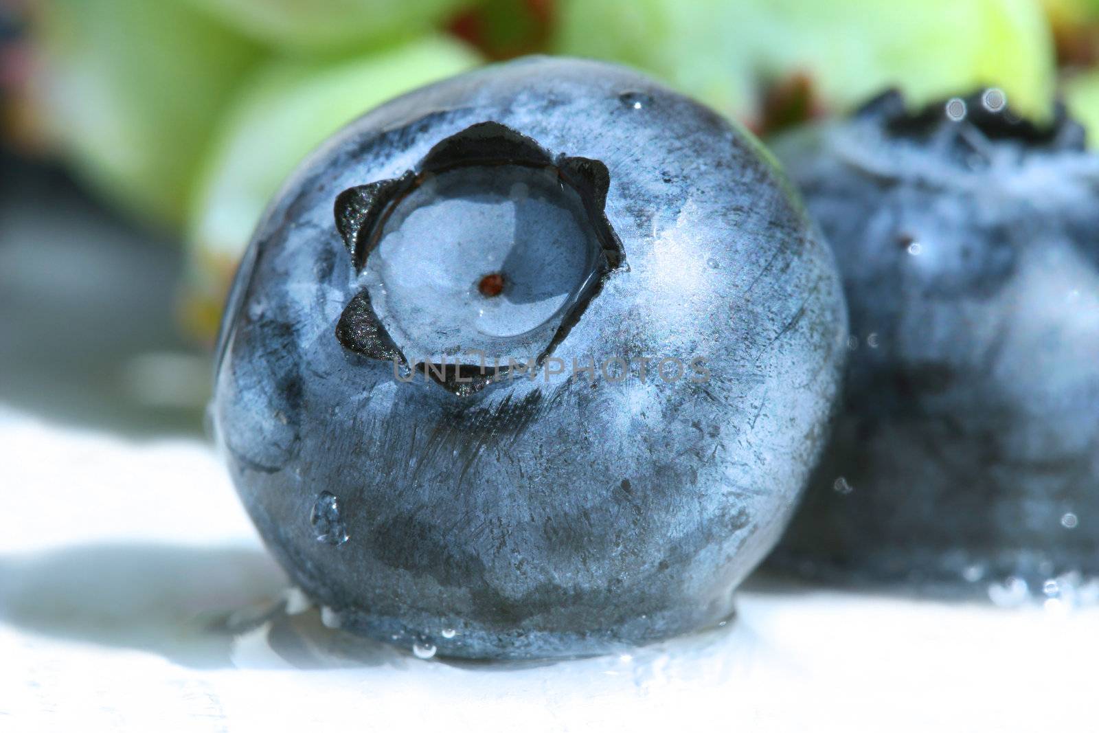 Closeup of a blueberry