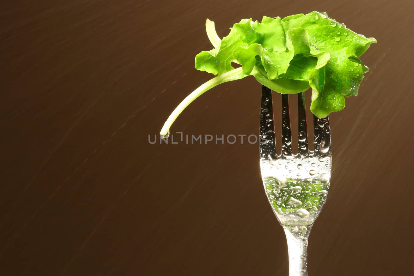 Leaf of lettuce on a fork with water spray in background