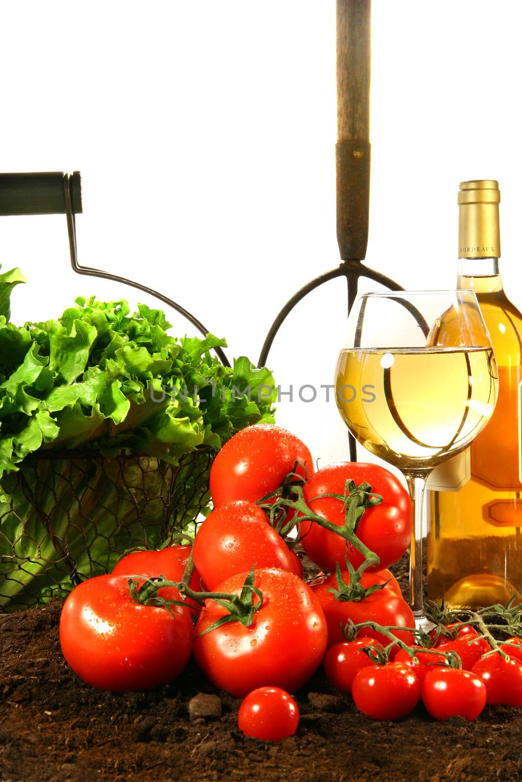 Fresh tomatoes, lettuce and wine on garden soil