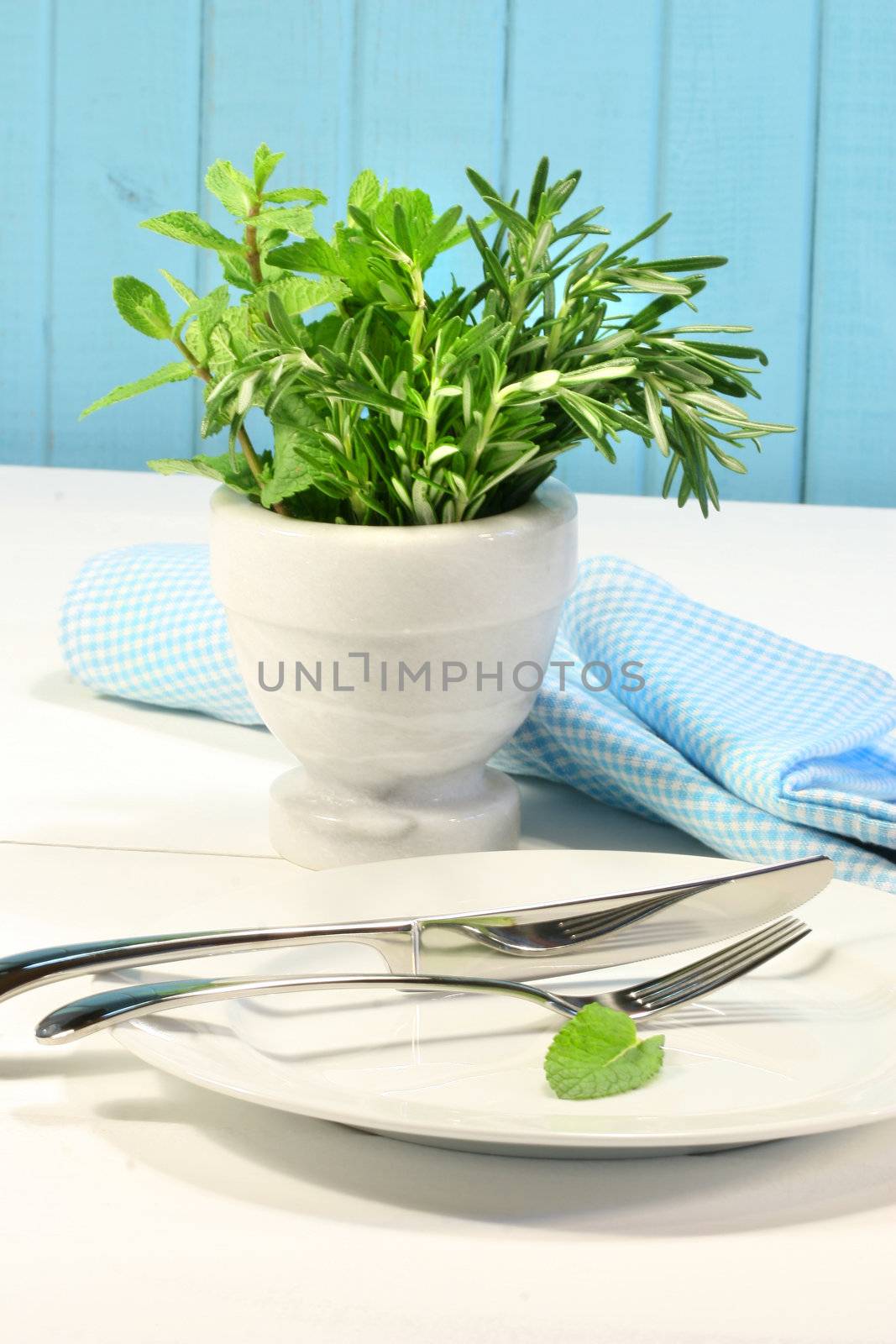 Fresh green herbs on a table in the kitchen