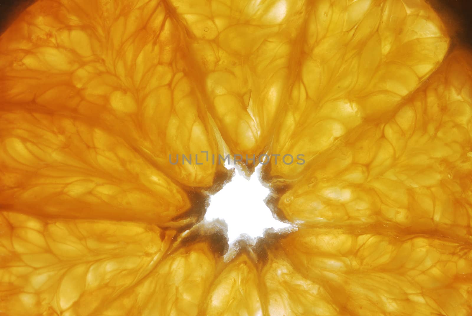 Orange. A cut of a fruit of an orange with the bright expressed structure