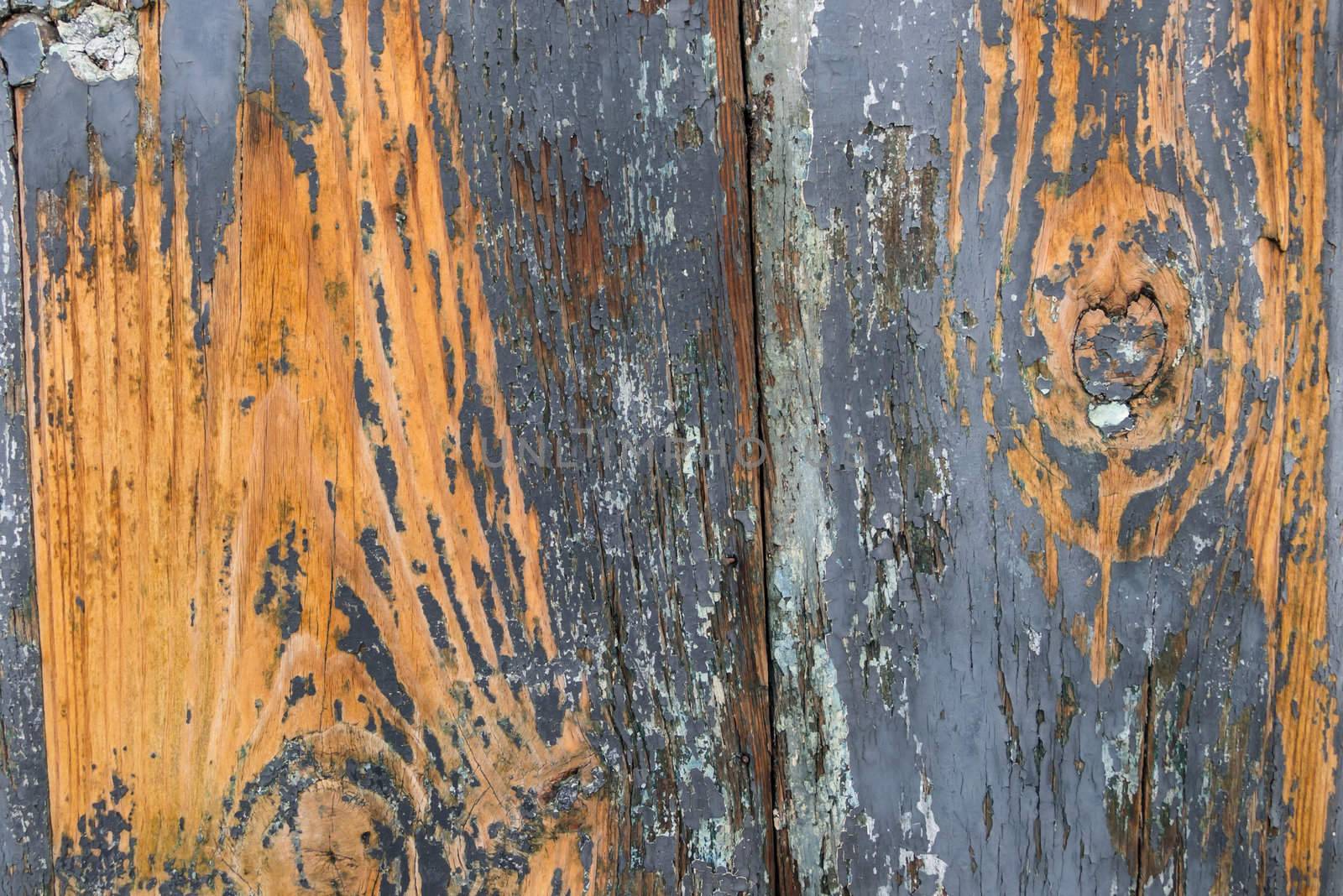 Wooden Old door with blue paint