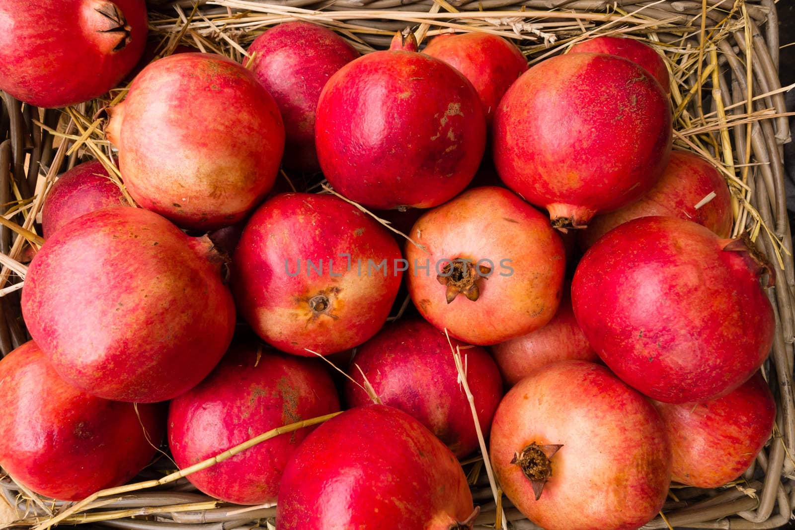 Pomegranates on display, Punica granatum