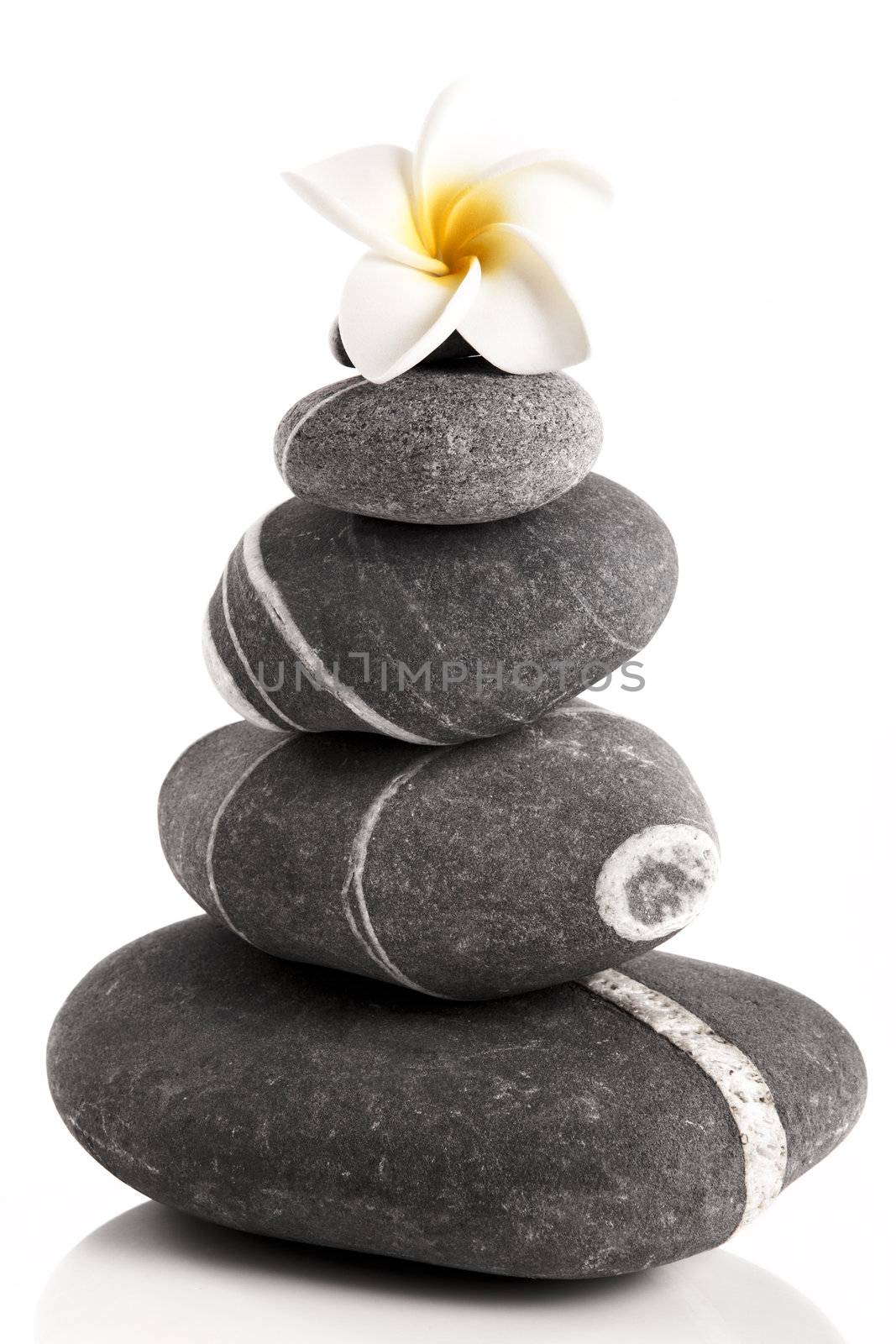 Stones pyramid with a plumeria flower, isolated on white background