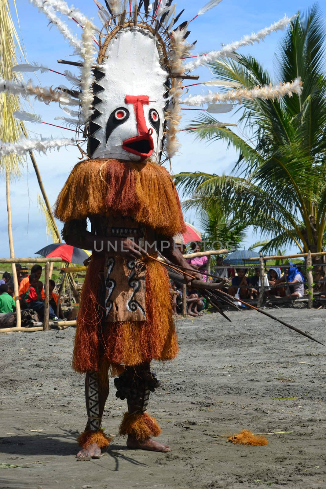 Traditional dance mask festival, Gulf Province, Papua New Guinea