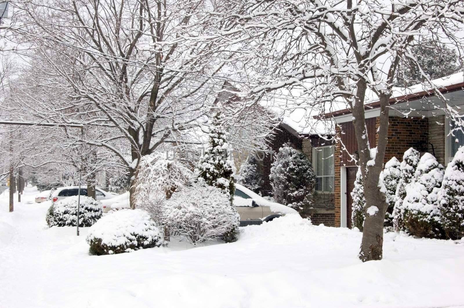 Snow on the street of North York