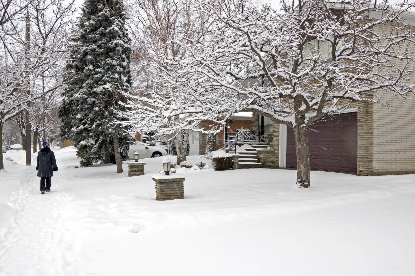 Snow on the street