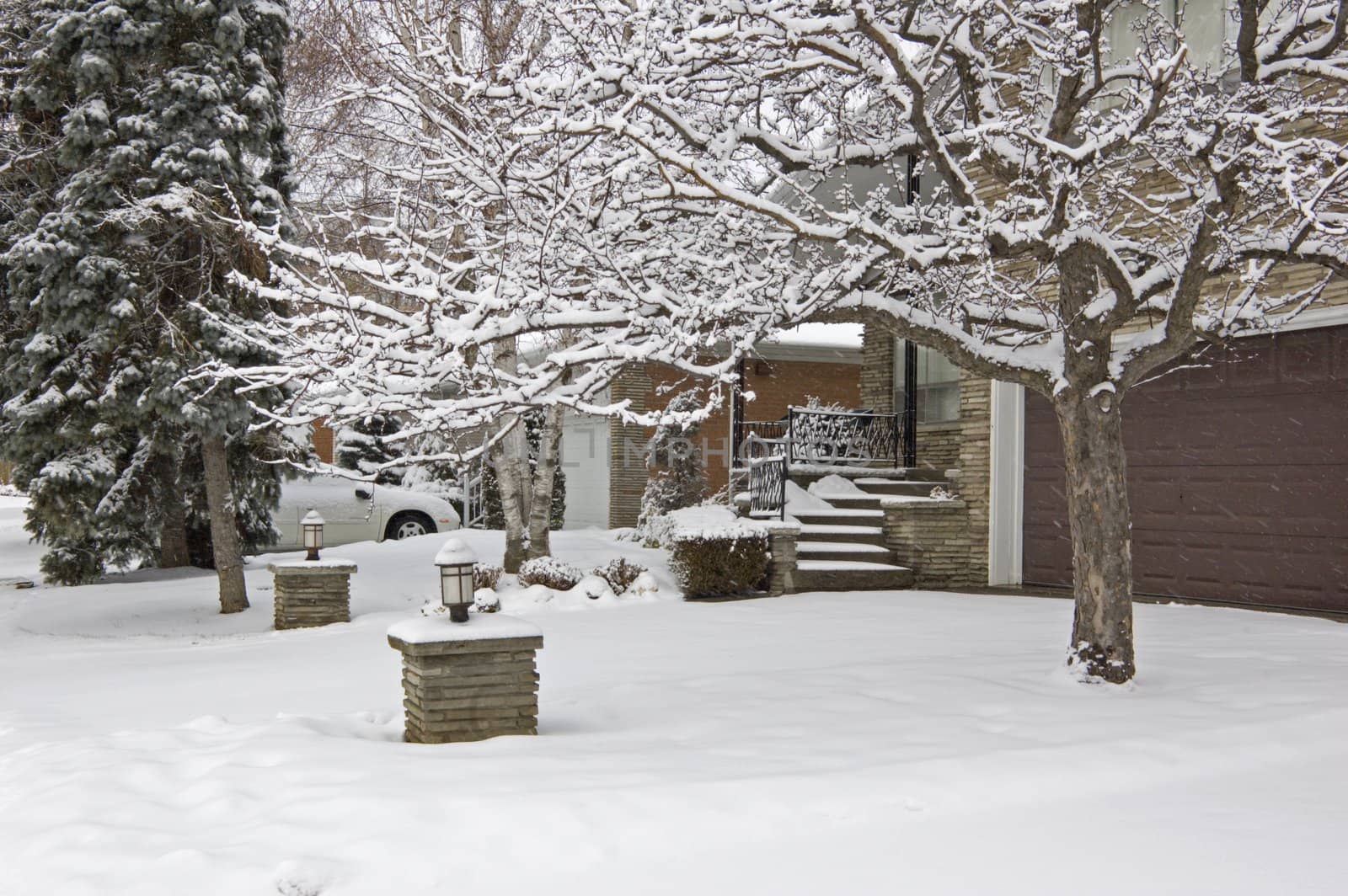 Snow on the street