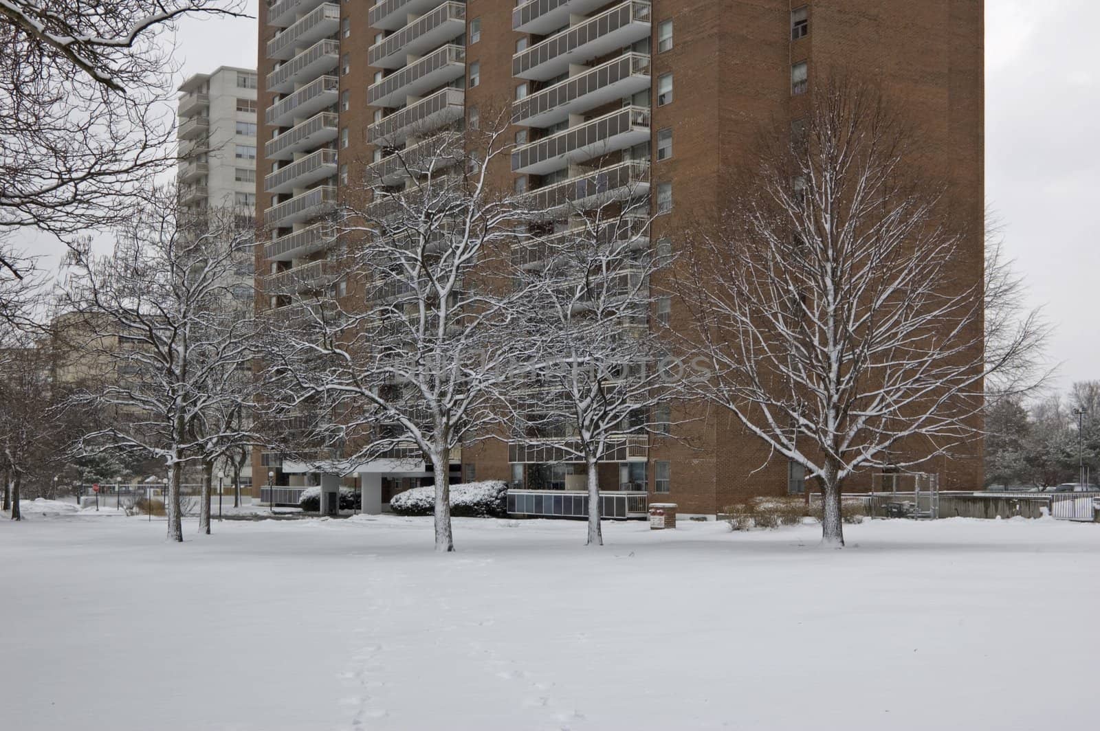 Brick building in Toronto city on snow background