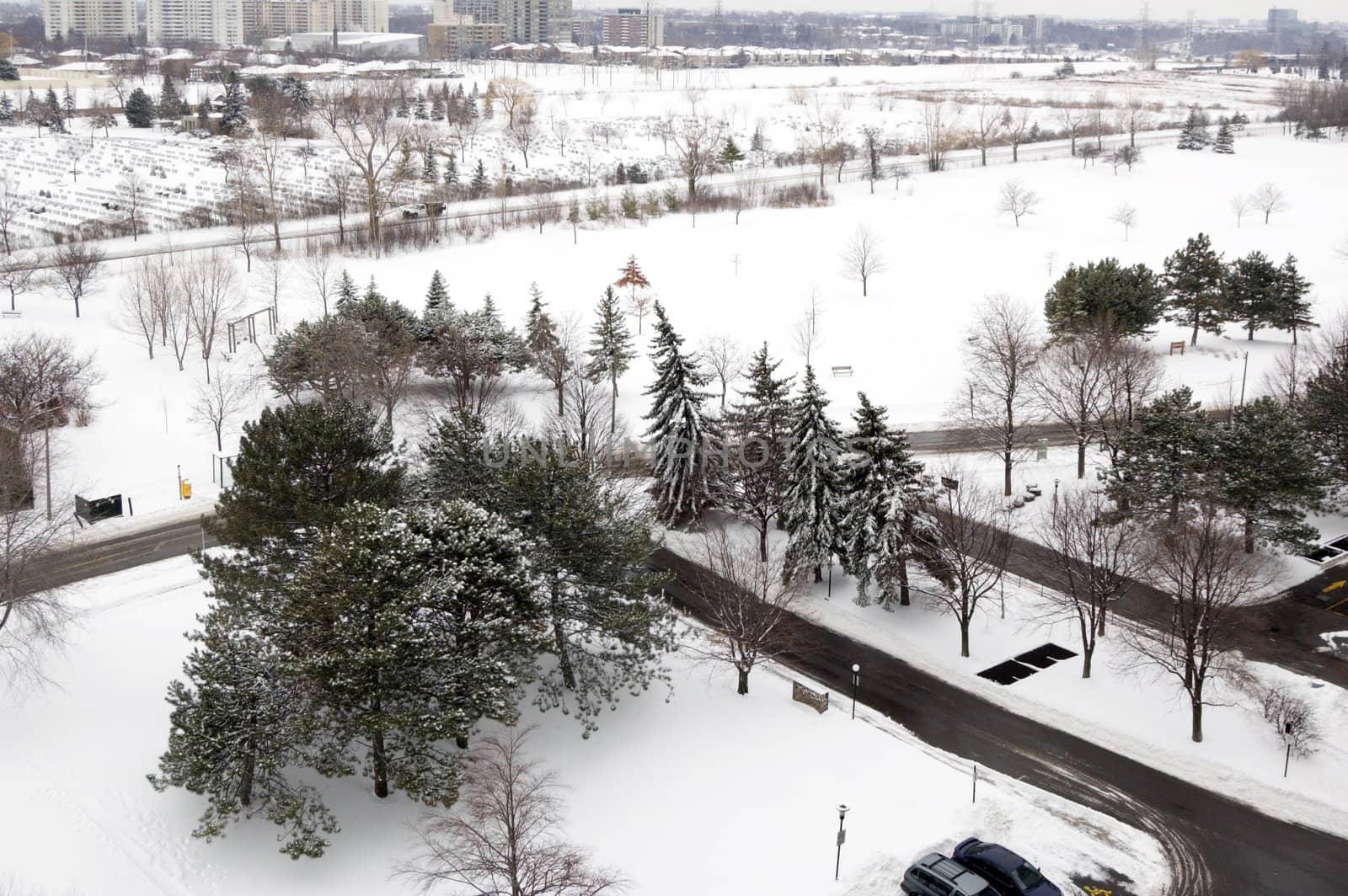 Winter view of the city covered by snow