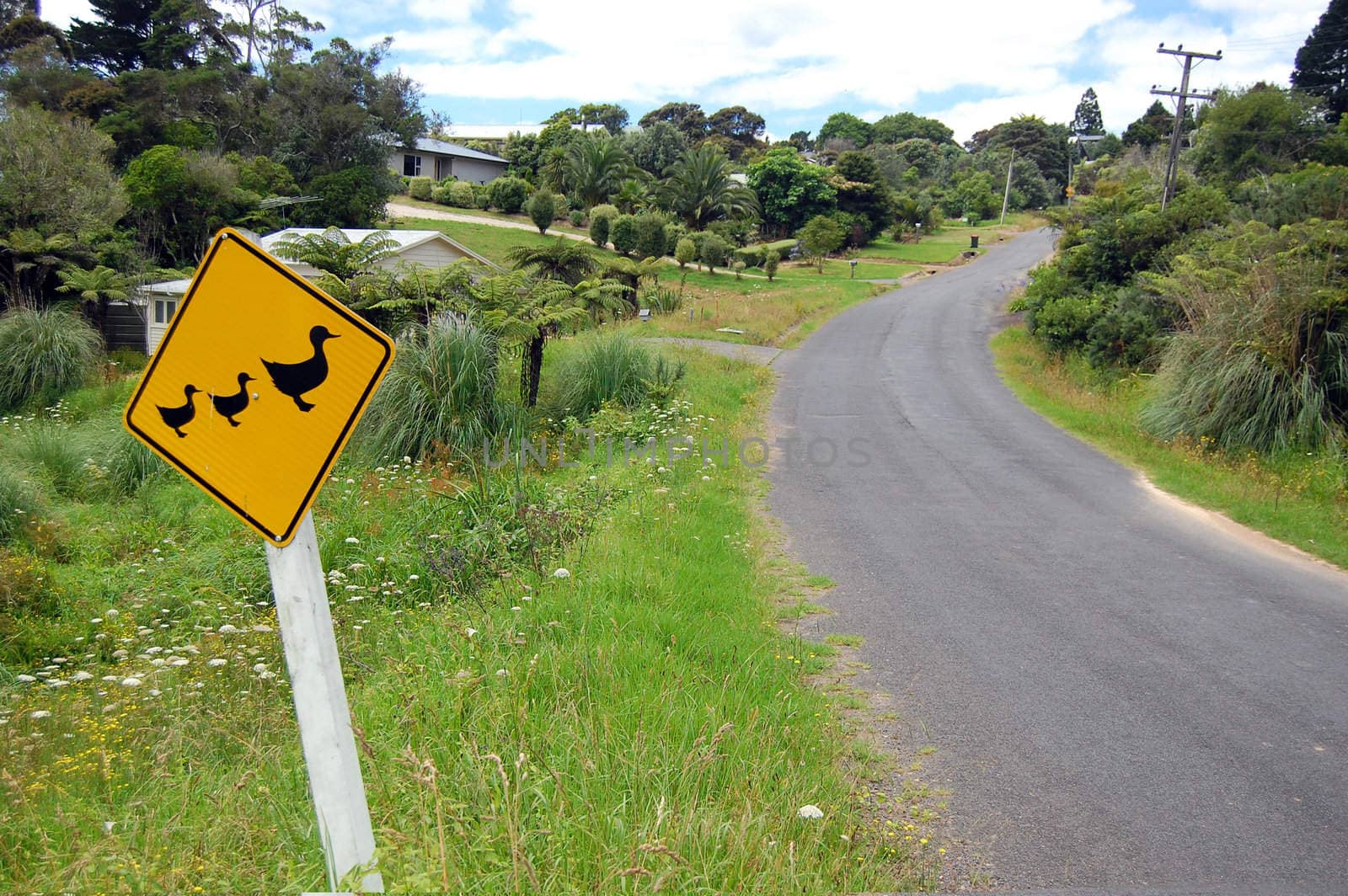 Yellow duck road sign rural area, Waiheke Island, New Zealand