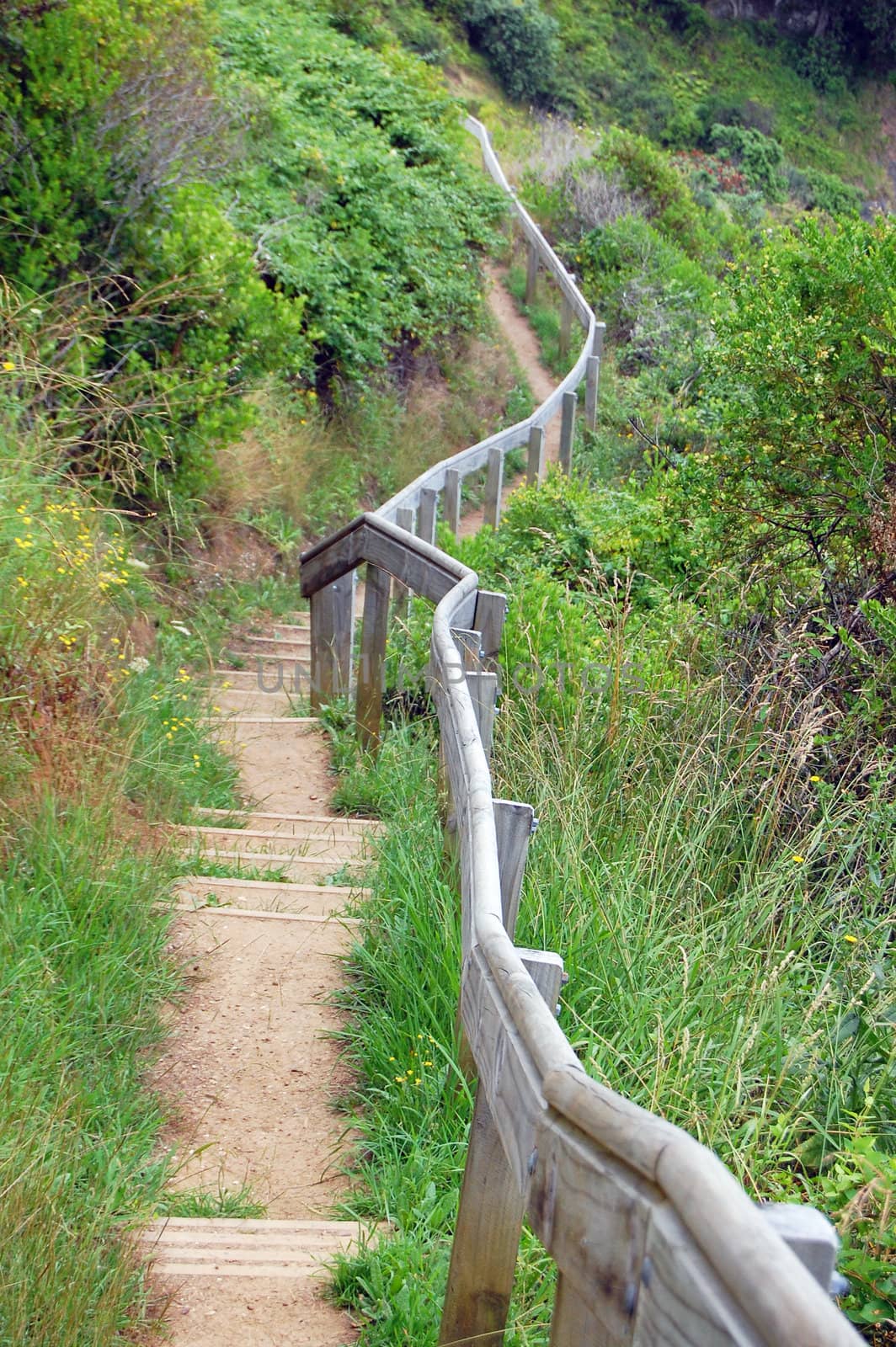 Trail with timber handrail by danemo