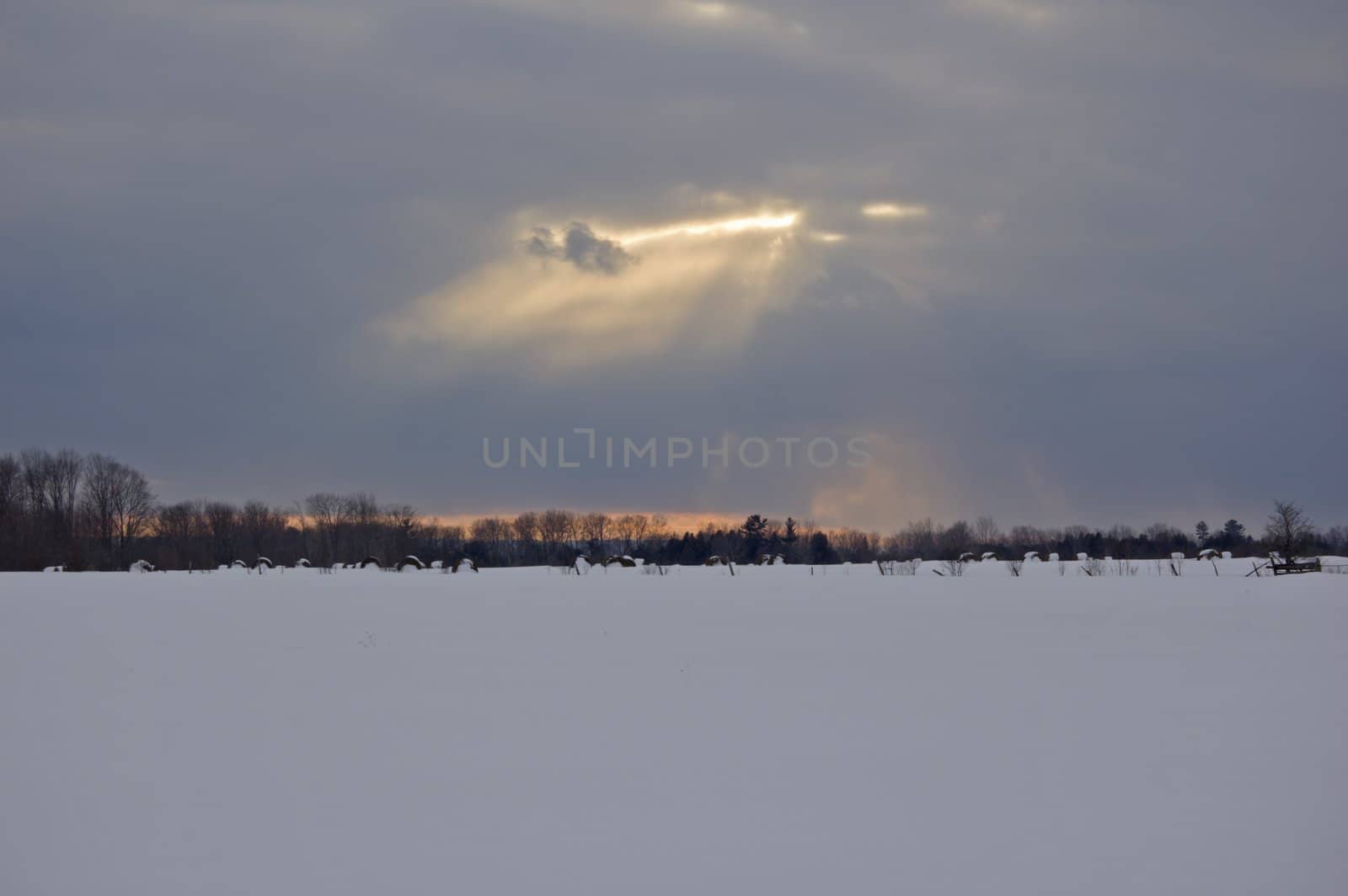 Sky and clouds in winter evening above snow field
