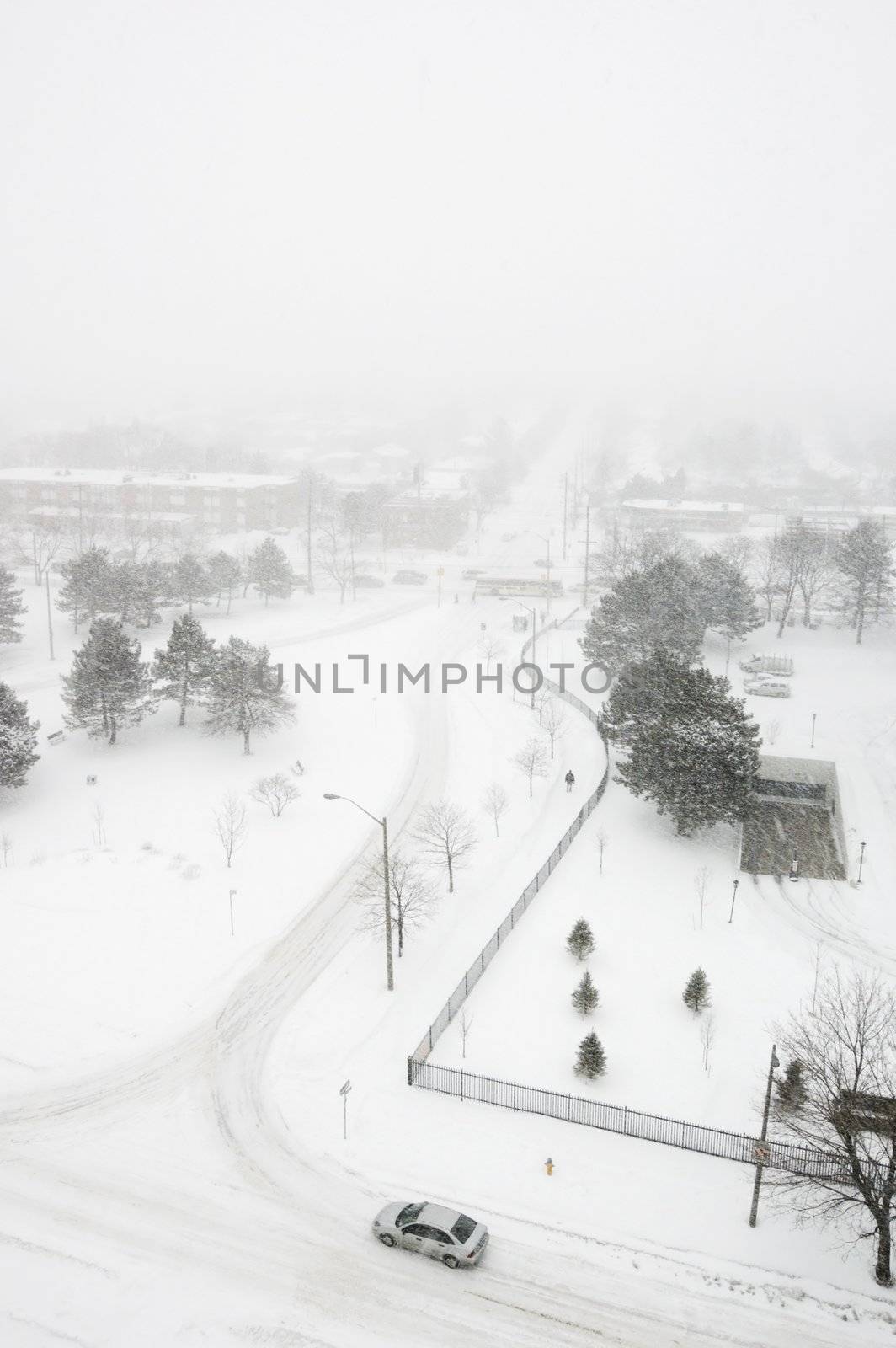 Snowstorm on streets of North York, Ontario