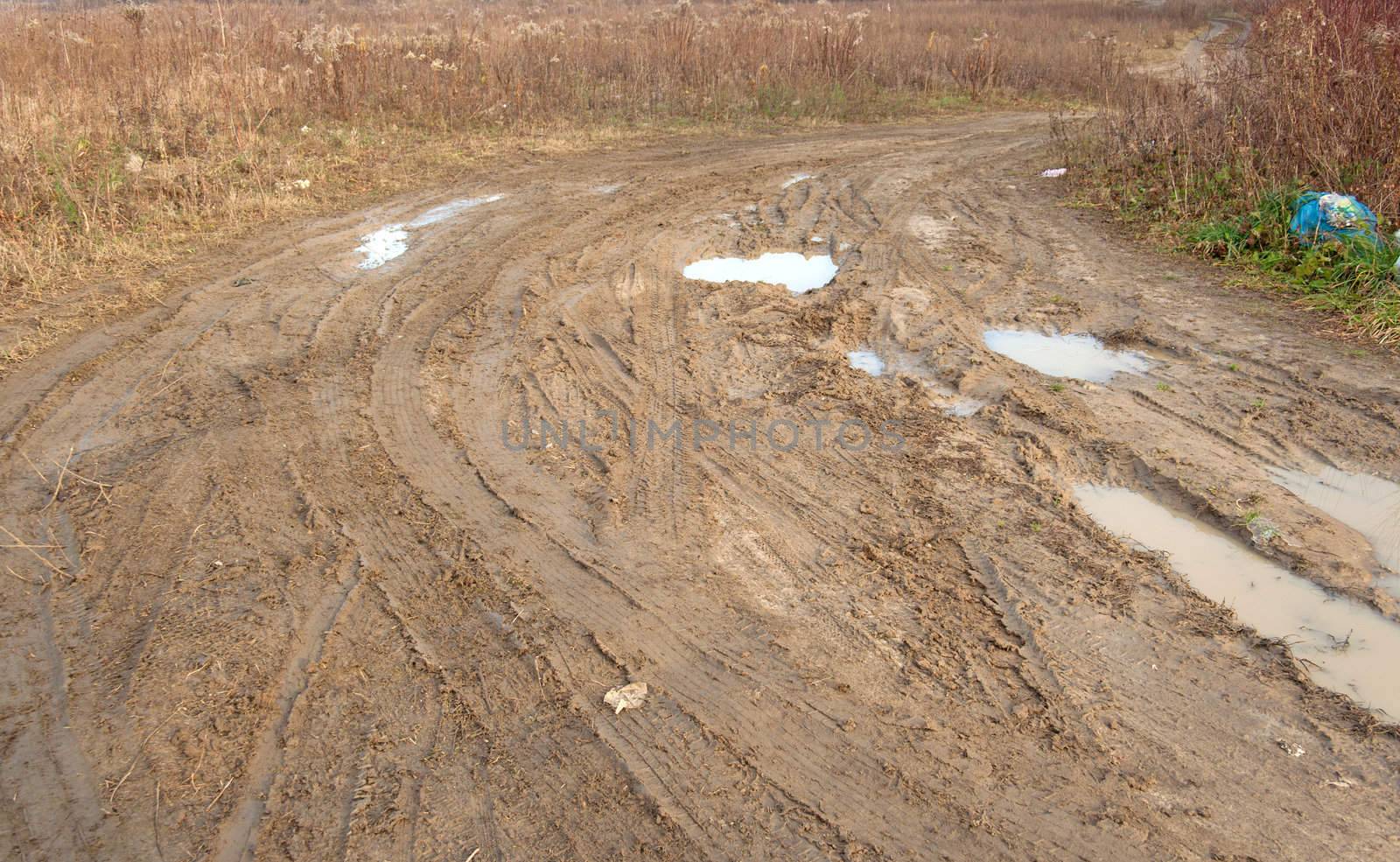 Traces of car tyres on the wet fields road 