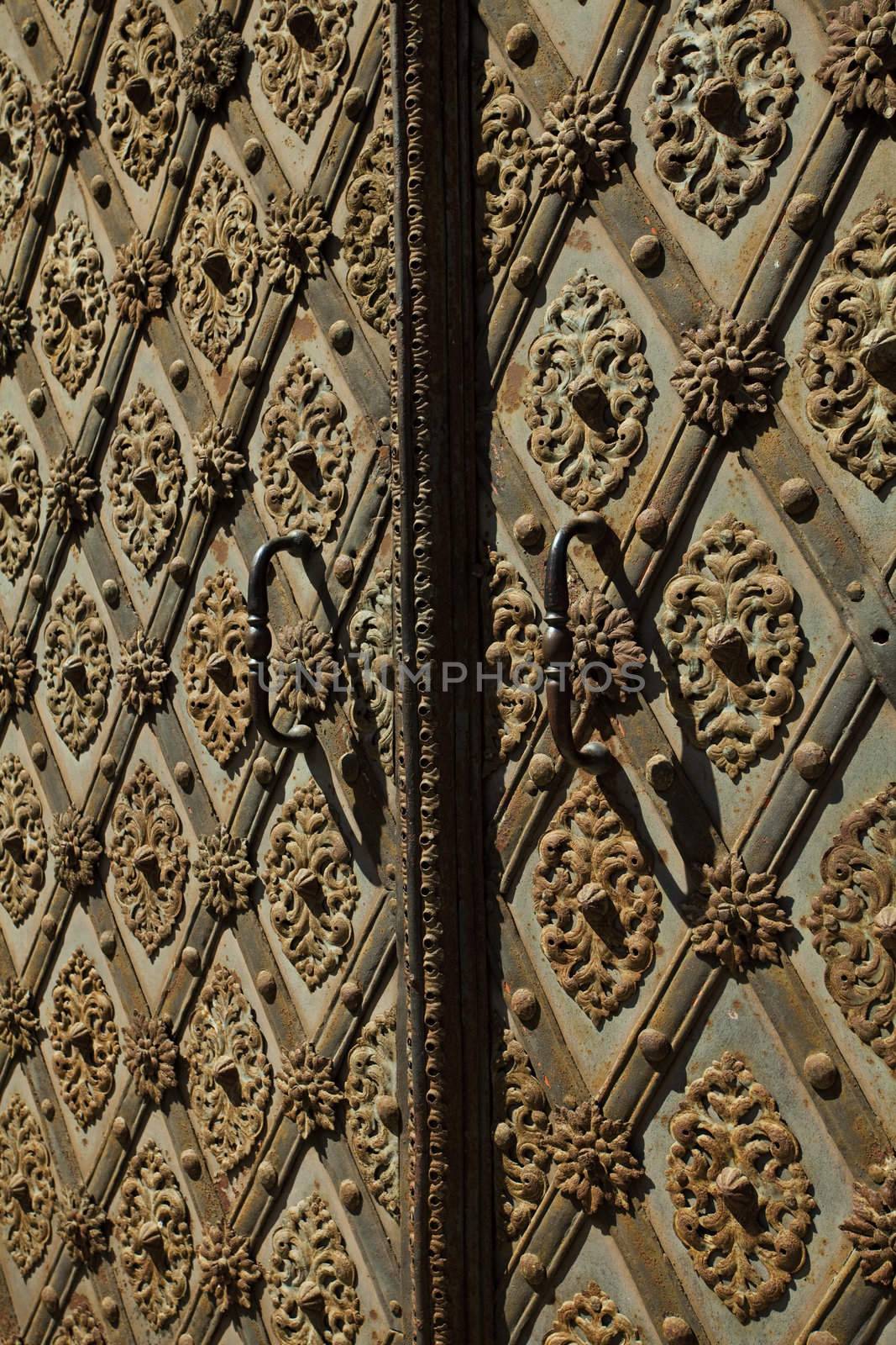 forged iron door by jannyjus