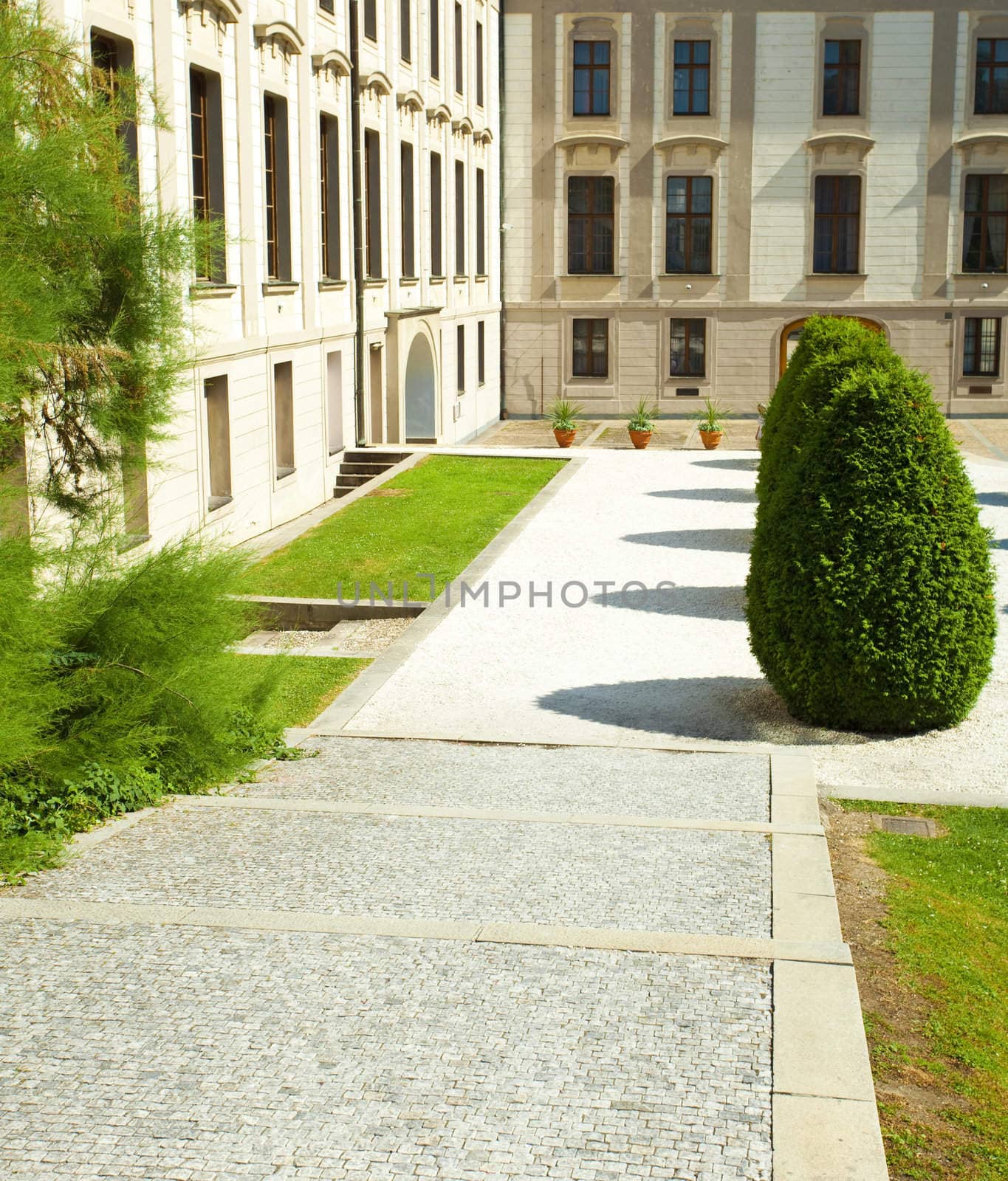 square  of the city with green bushes by jannyjus