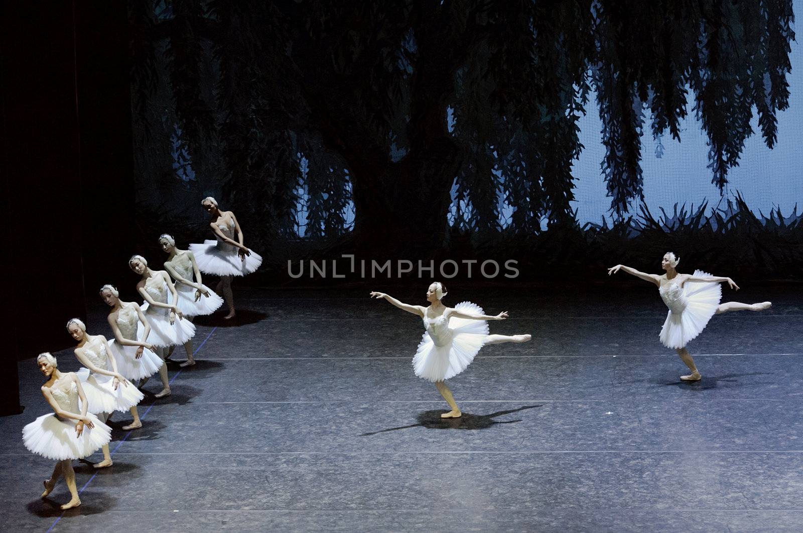 swan lake ballet by jackq