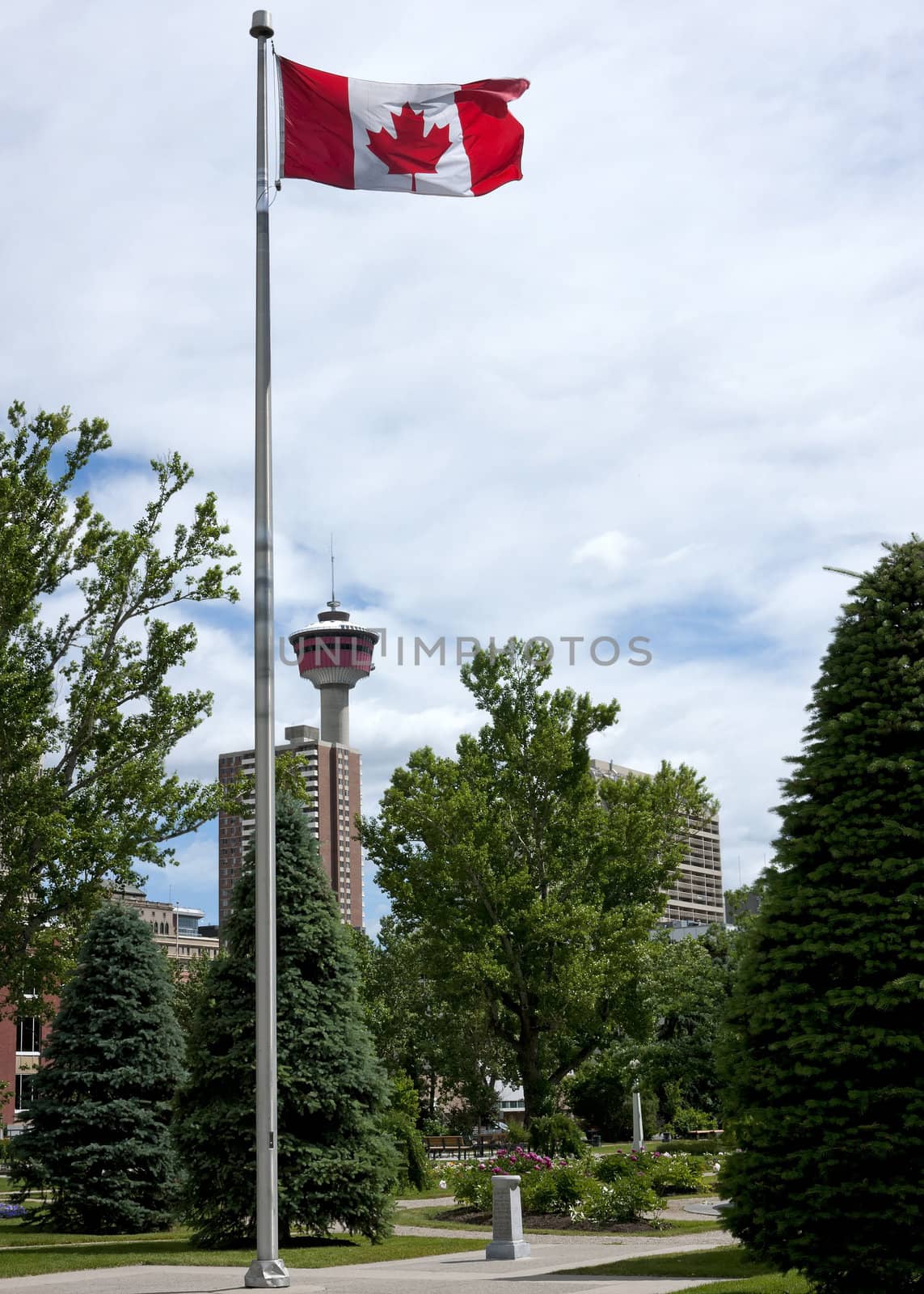 Canada Calgary - 9 july 2011: Canadian flag with Calgary tower i by Claudine
