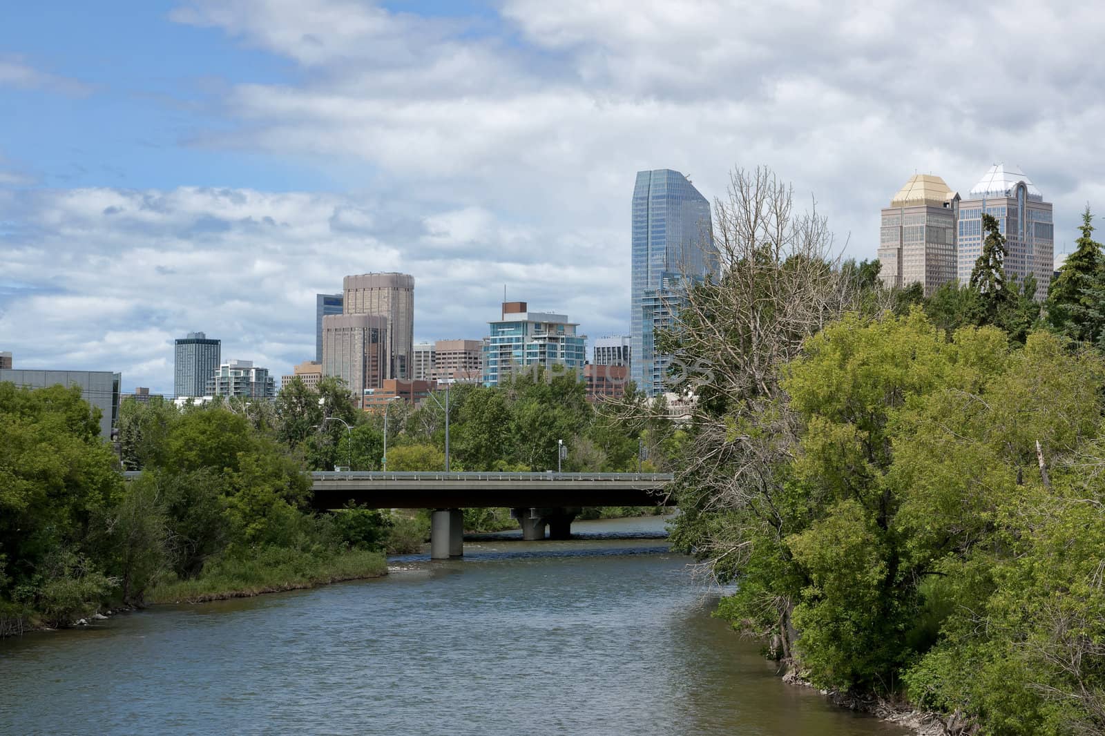 Canada Calgary - 9 July 2011: Skyline seen from over the river. by Claudine