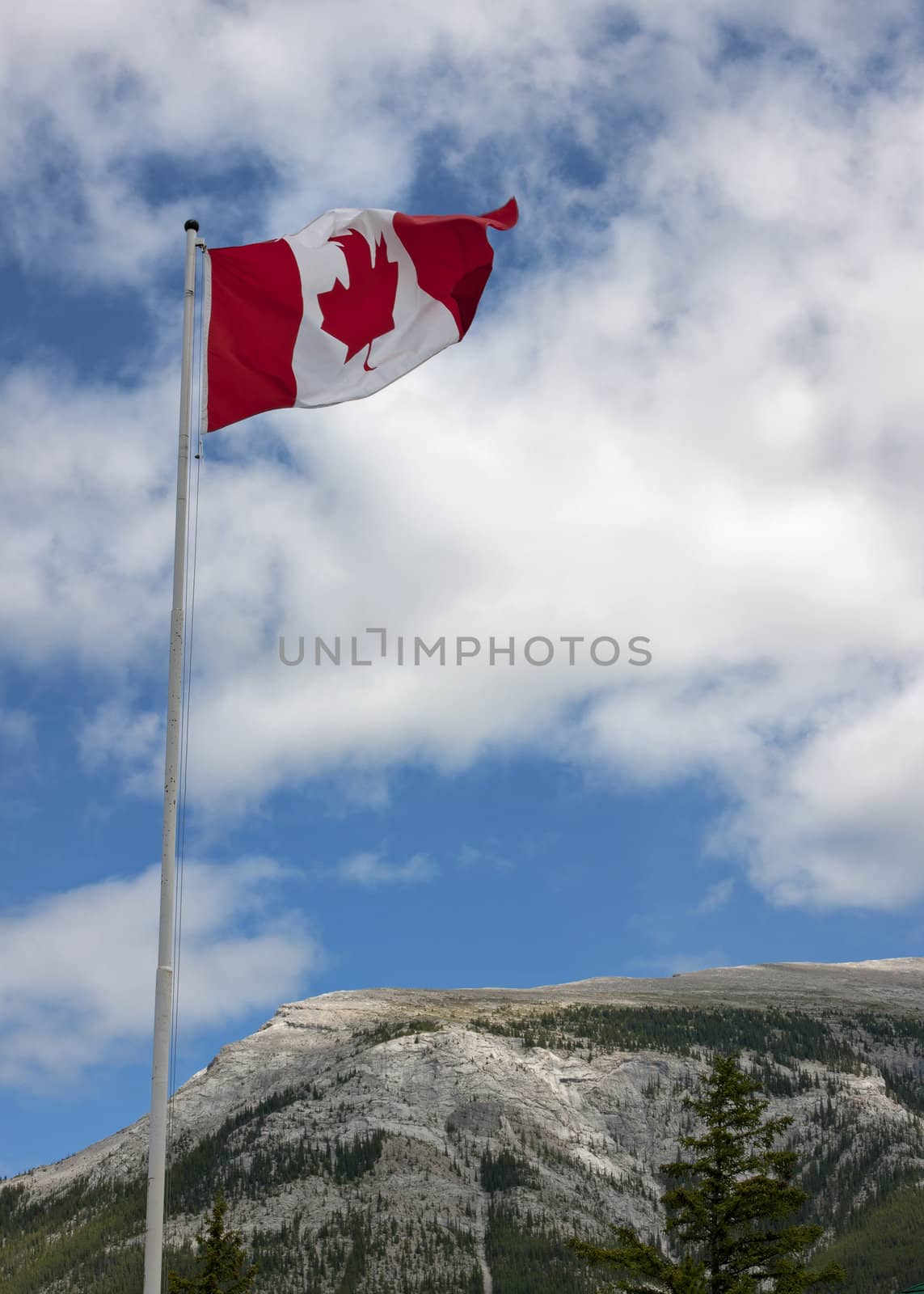 The Canadian national flag flies over the Rocky Mountains. by Claudine