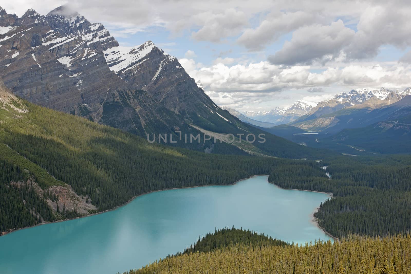Looking down on Peyto Lake in Alberta (Canada) surrounded by for by Claudine