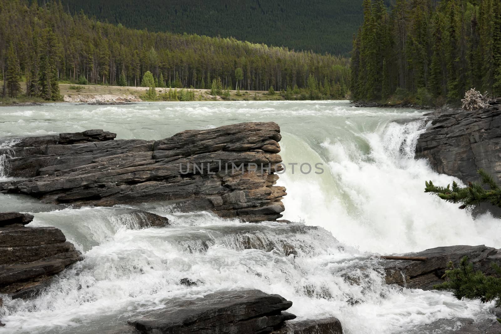 Thundering water over brown-grey rocks against green forest backdrop.